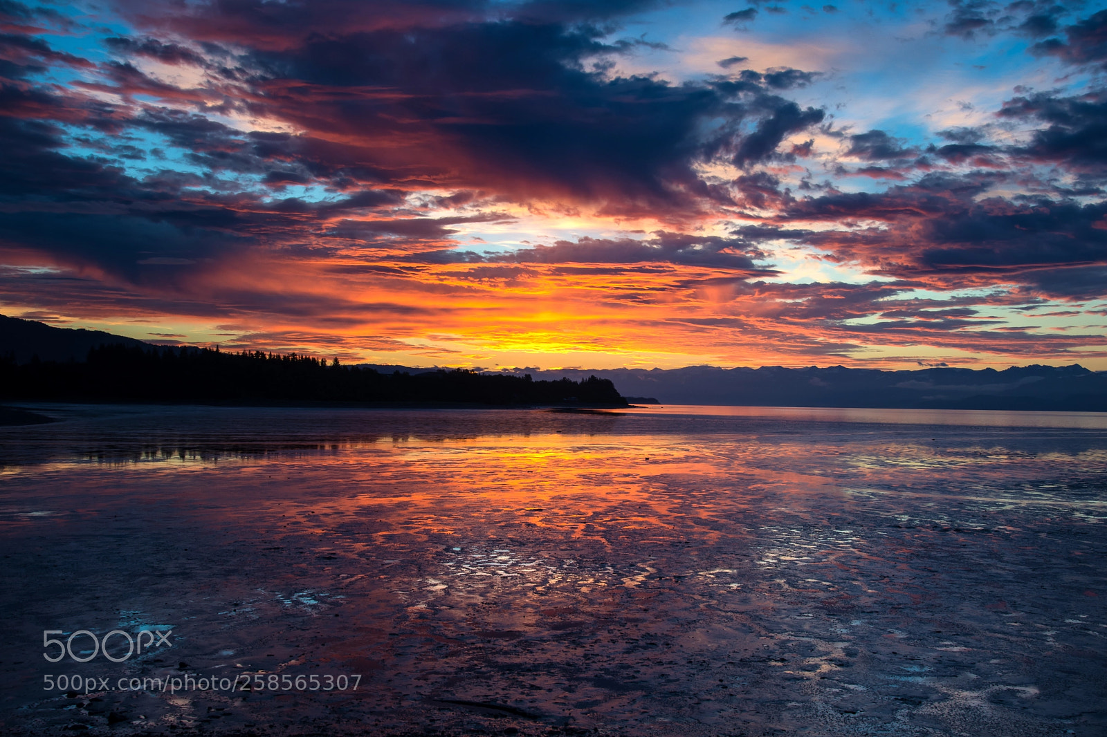 Nikon D7200 sample photo. Kachemak bay sunrise photography