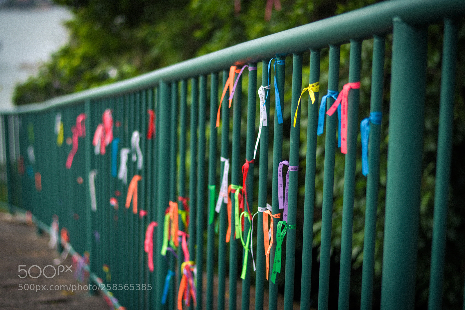 Nikon D5600 sample photo. Stripes and hopes photography