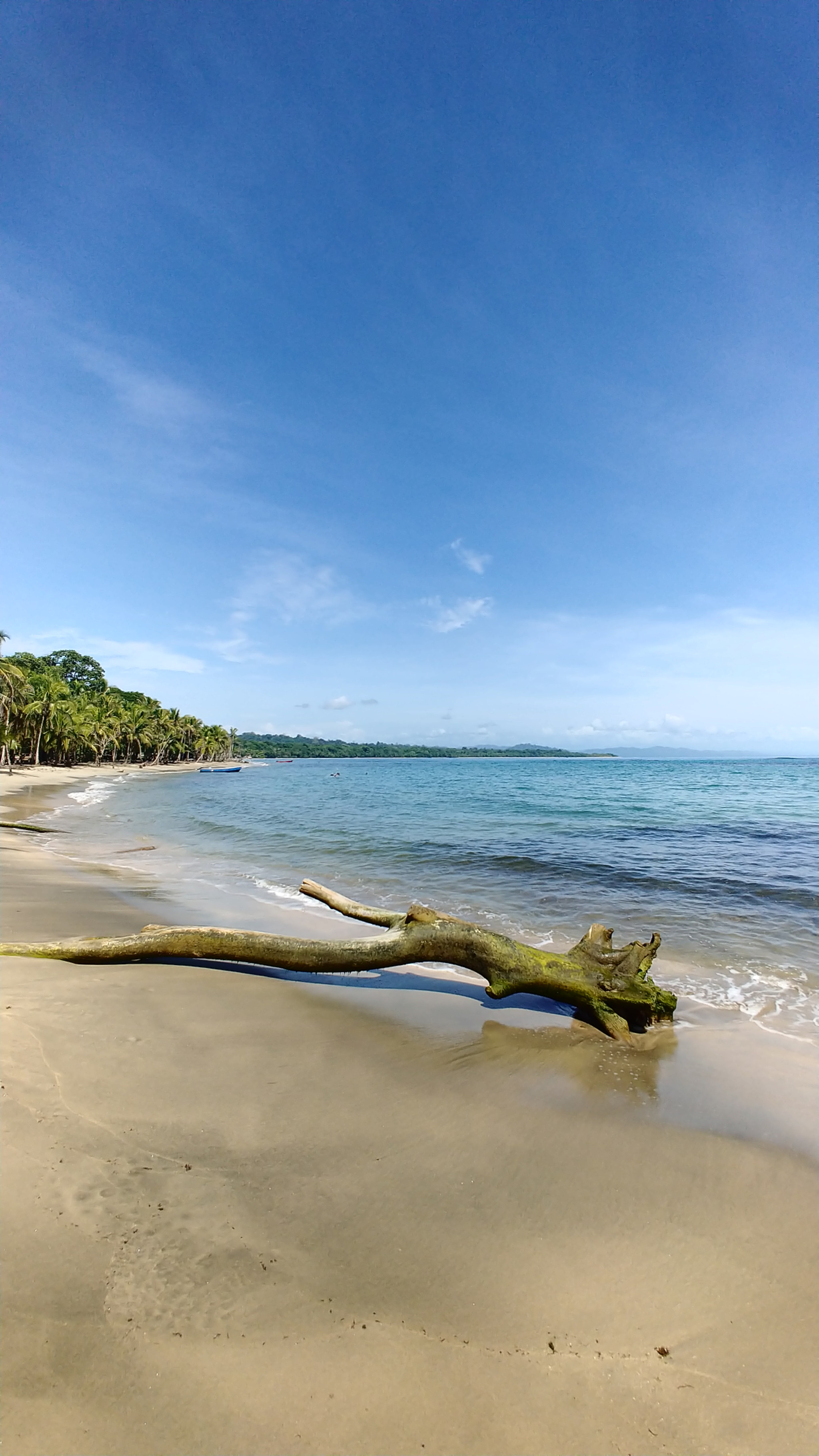 LG V30 sample photo. Driftwood in costa rica photography