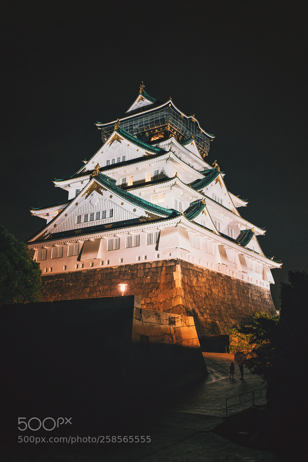 Sony a7R II sample photo. 雨中大阪城 photography