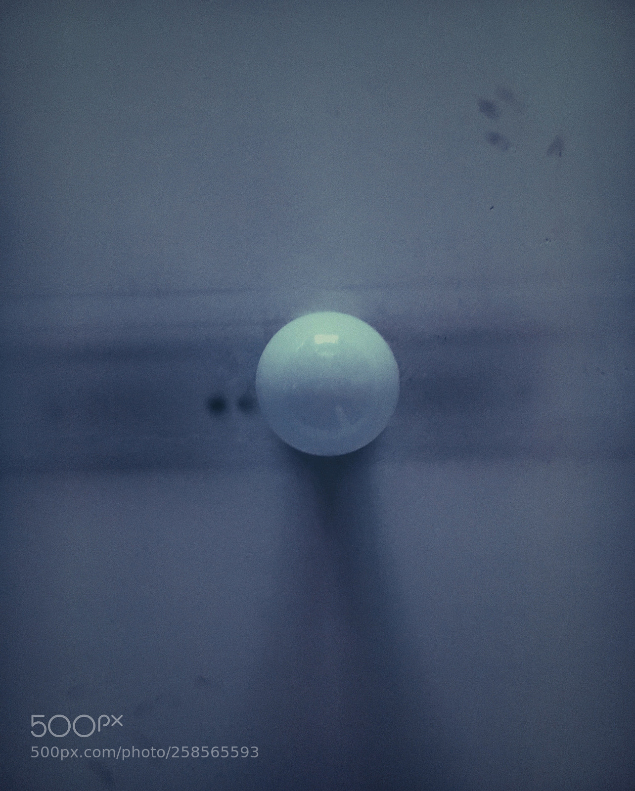 Apple iPhone 6s sample photo. Untitled photography