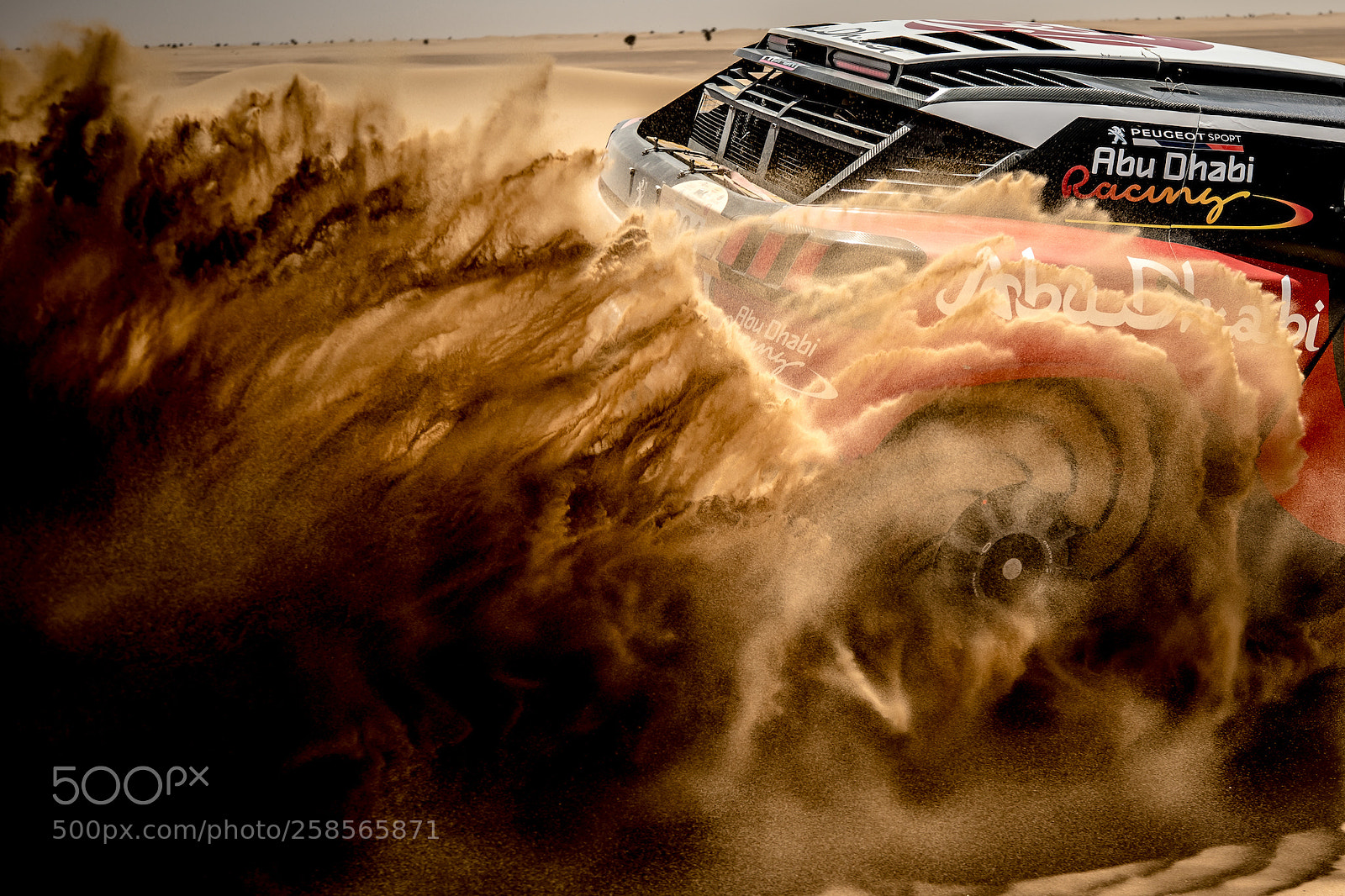 Canon EOS 5D Mark IV sample photo. Desert swirl photography
