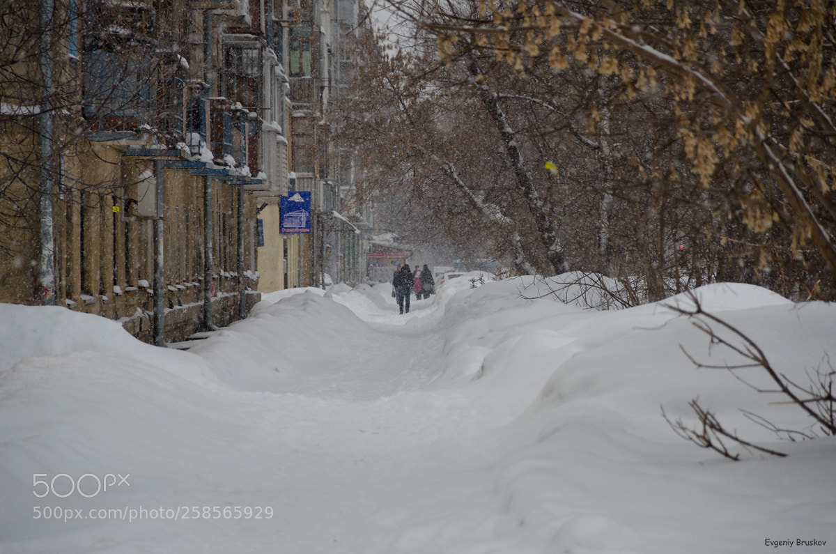 Nikon D7000 sample photo. Снегопад photography