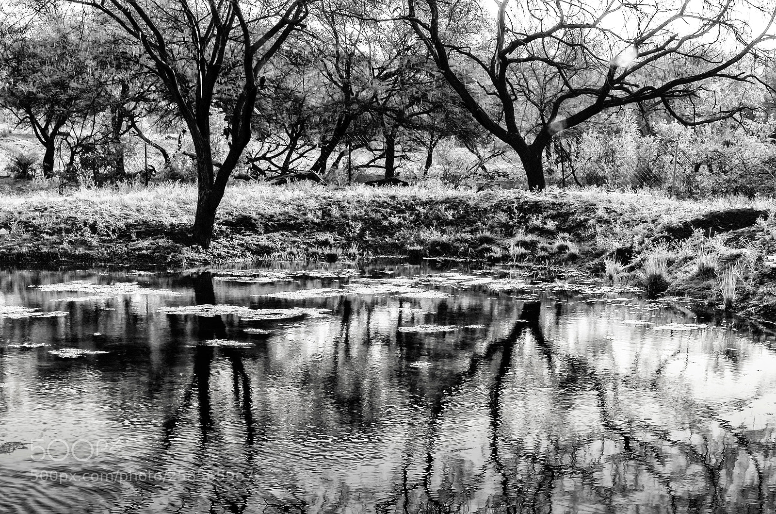 Nikon D5100 sample photo. Spread photography