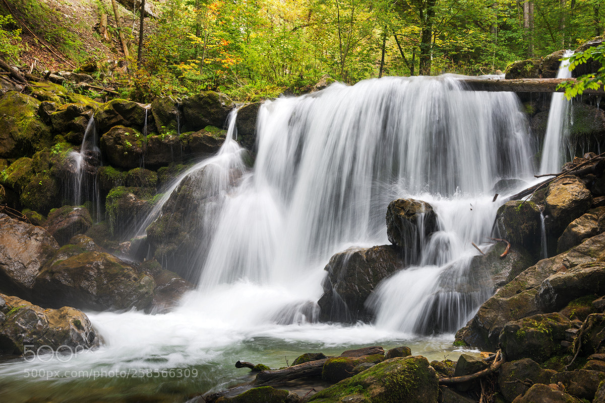 Nikon D610 sample photo. Tobelweg photography