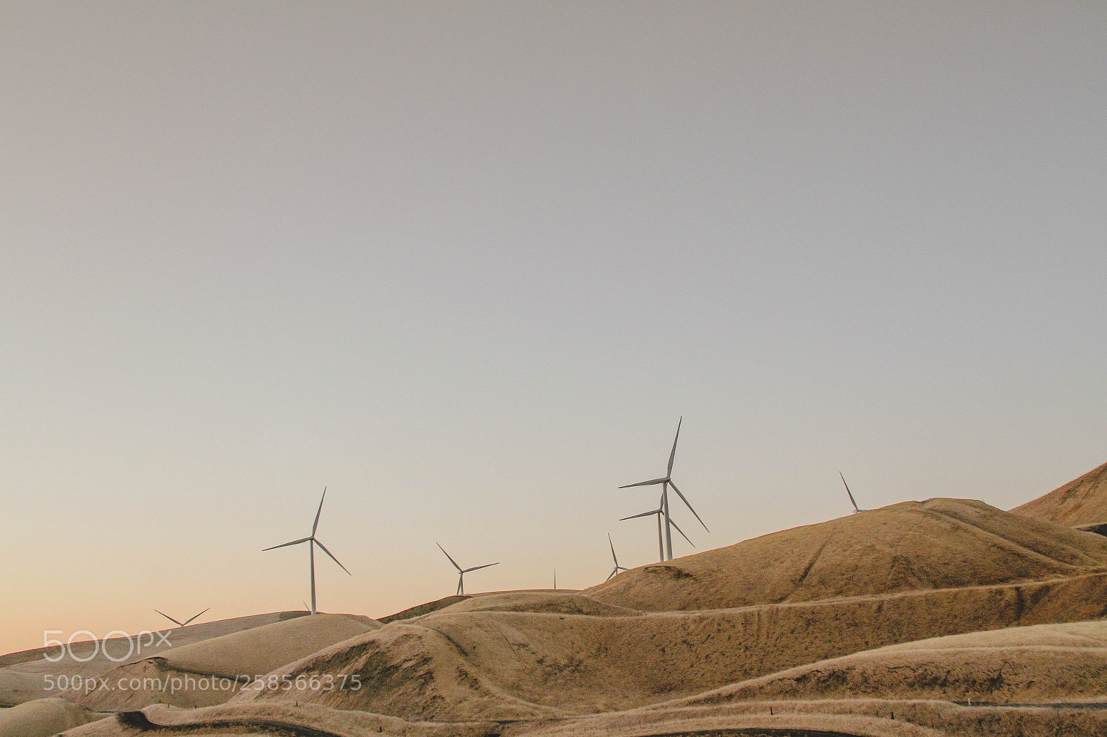 Canon EOS 7D sample photo. Windmills at sunrise photography
