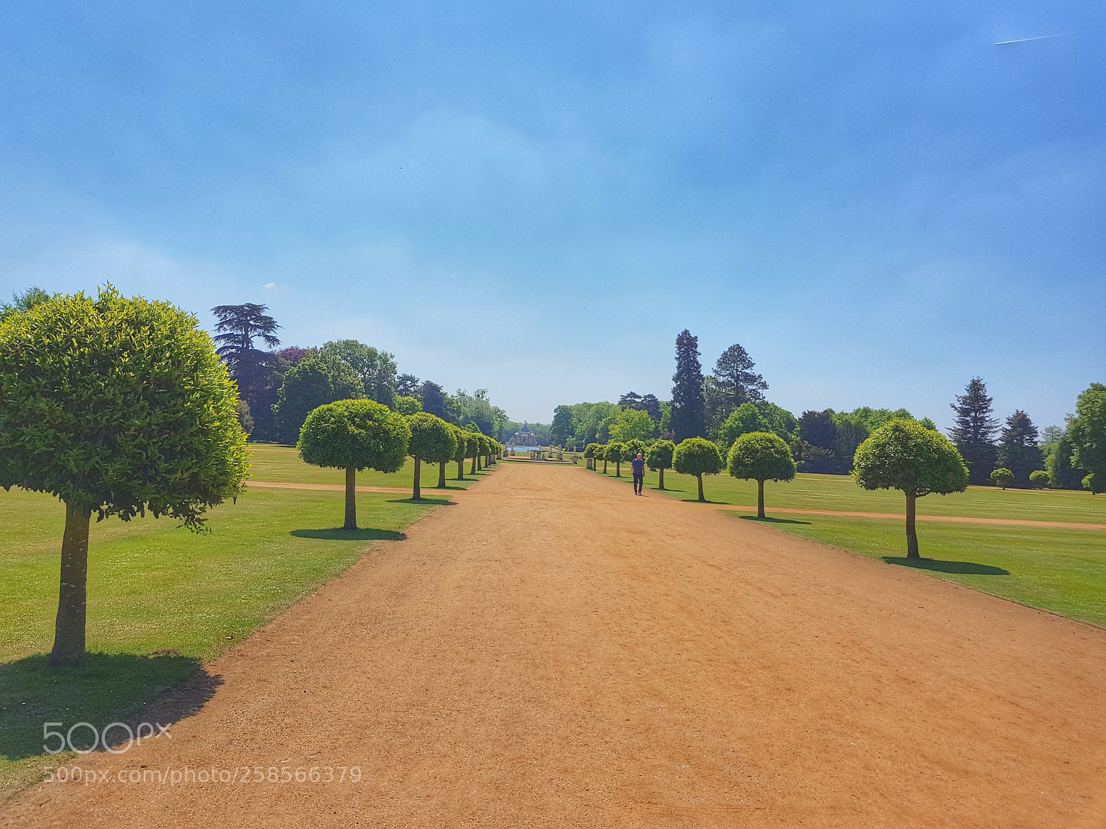 Samsung Galaxy S8+ sample photo. Wrest house photography