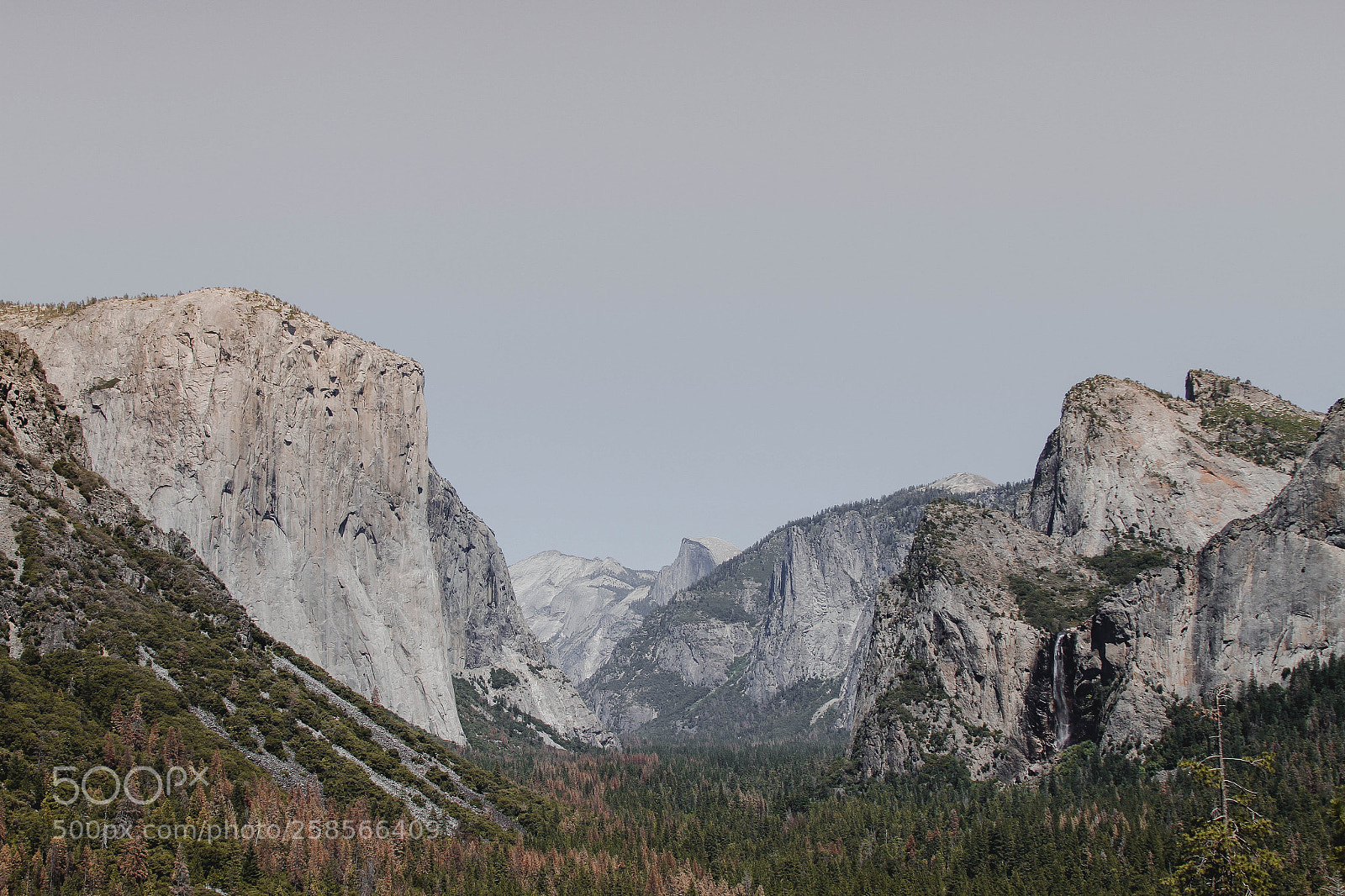 Canon EOS 7D sample photo. Tunnel view photography