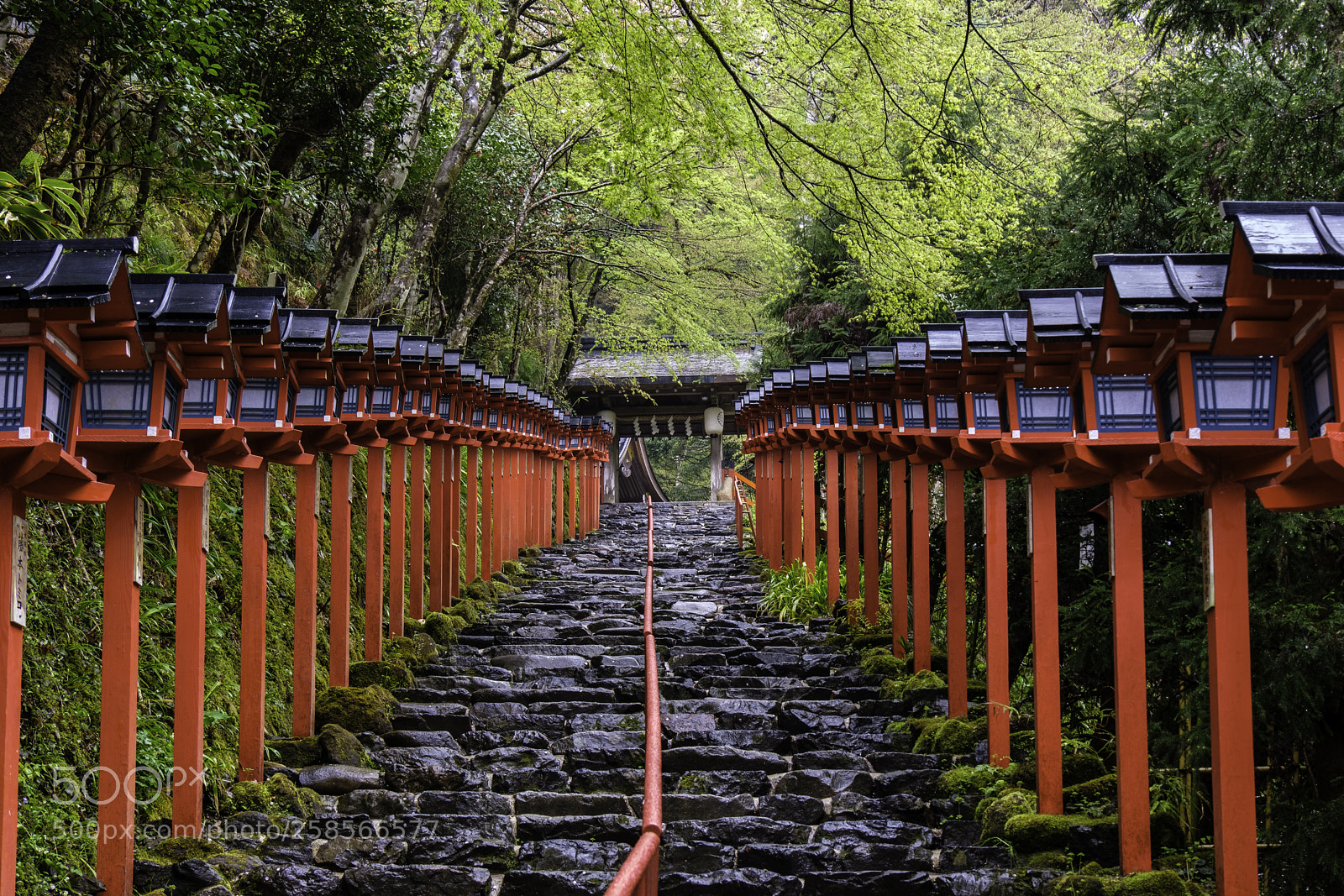 Fujifilm X-T2 sample photo. Japan-貴船神社之春 photography