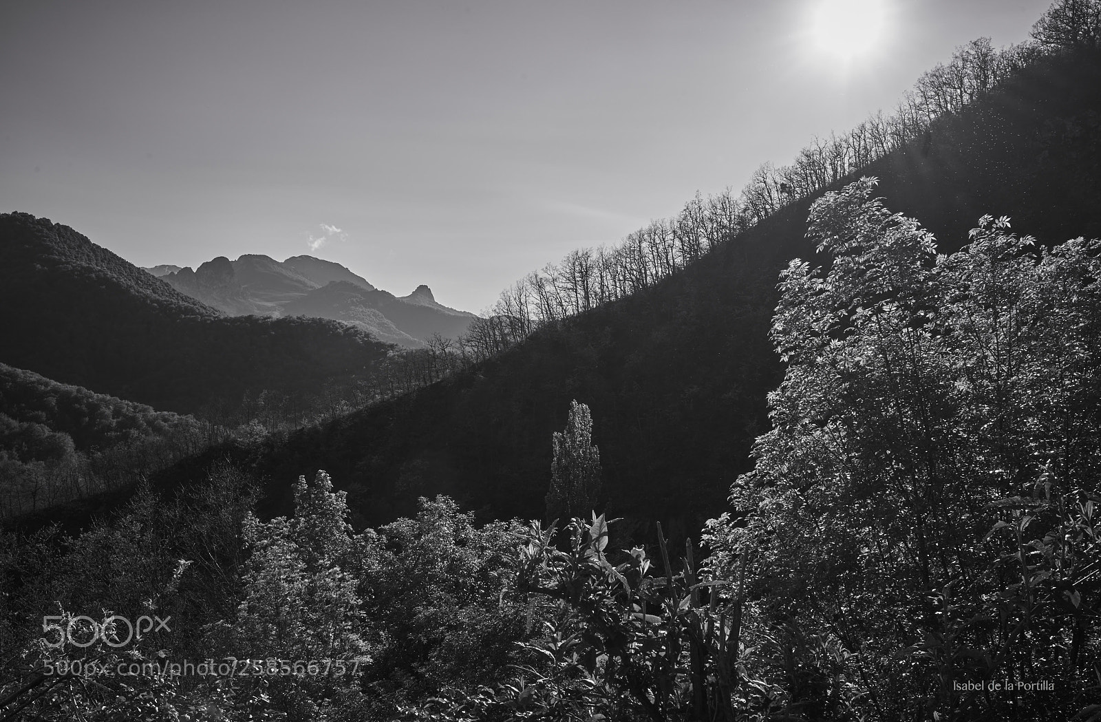 Sony a7R II sample photo. May evening in the photography