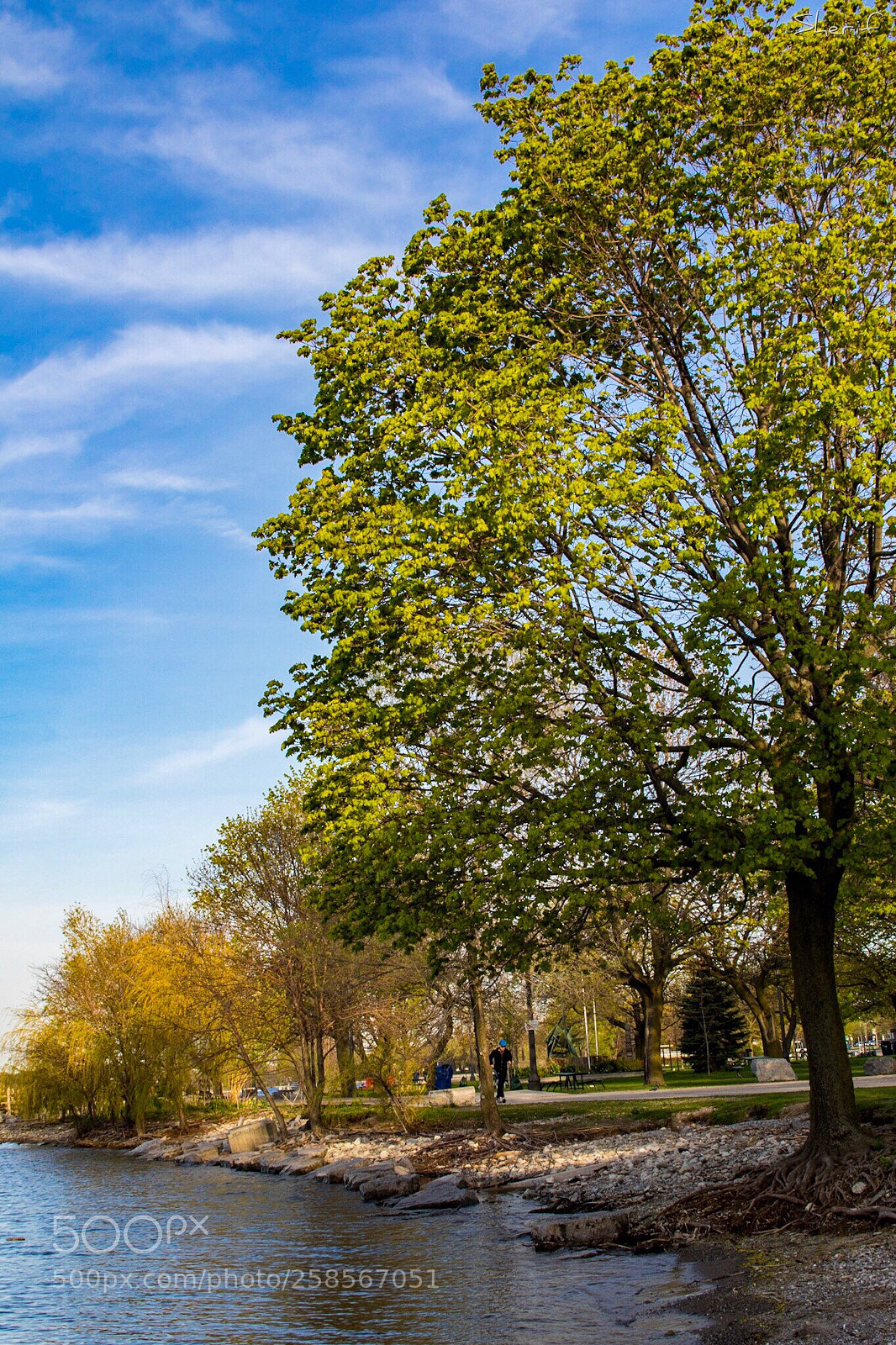 Canon EOS 750D (EOS Rebel T6i / EOS Kiss X8i) sample photo. Toronto's west end photography