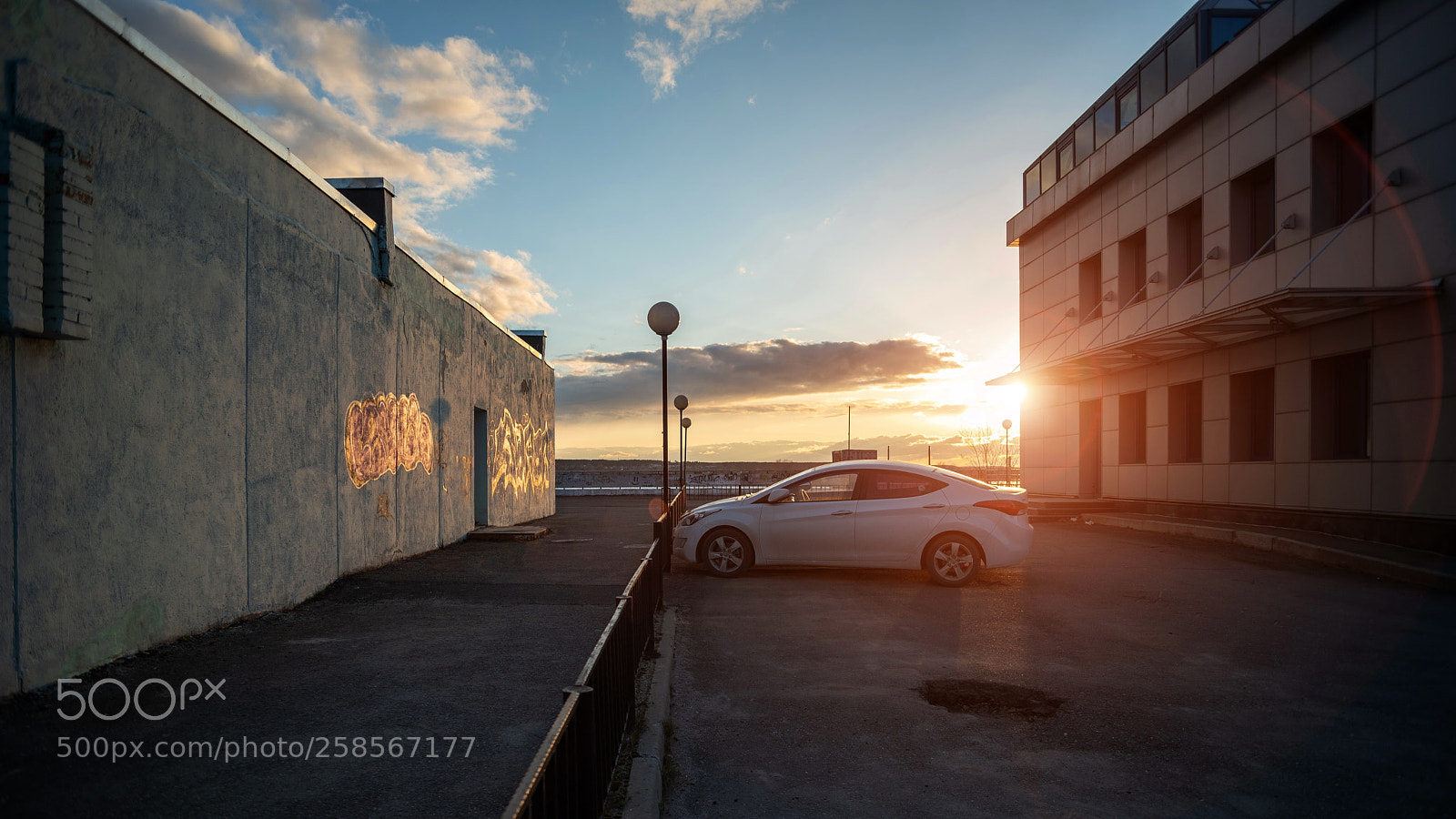 Nikon D750 sample photo. контр photography