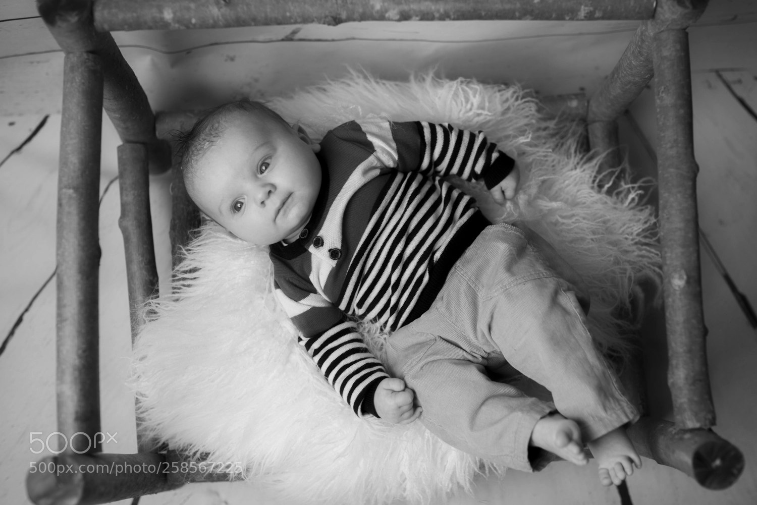 Nikon D800 sample photo. Bimbo photography