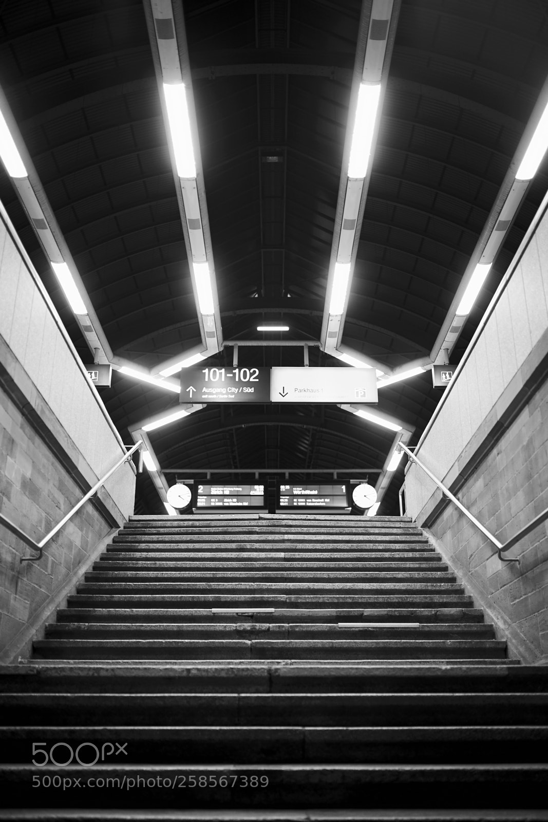 Sony a7 sample photo. // 02 photography