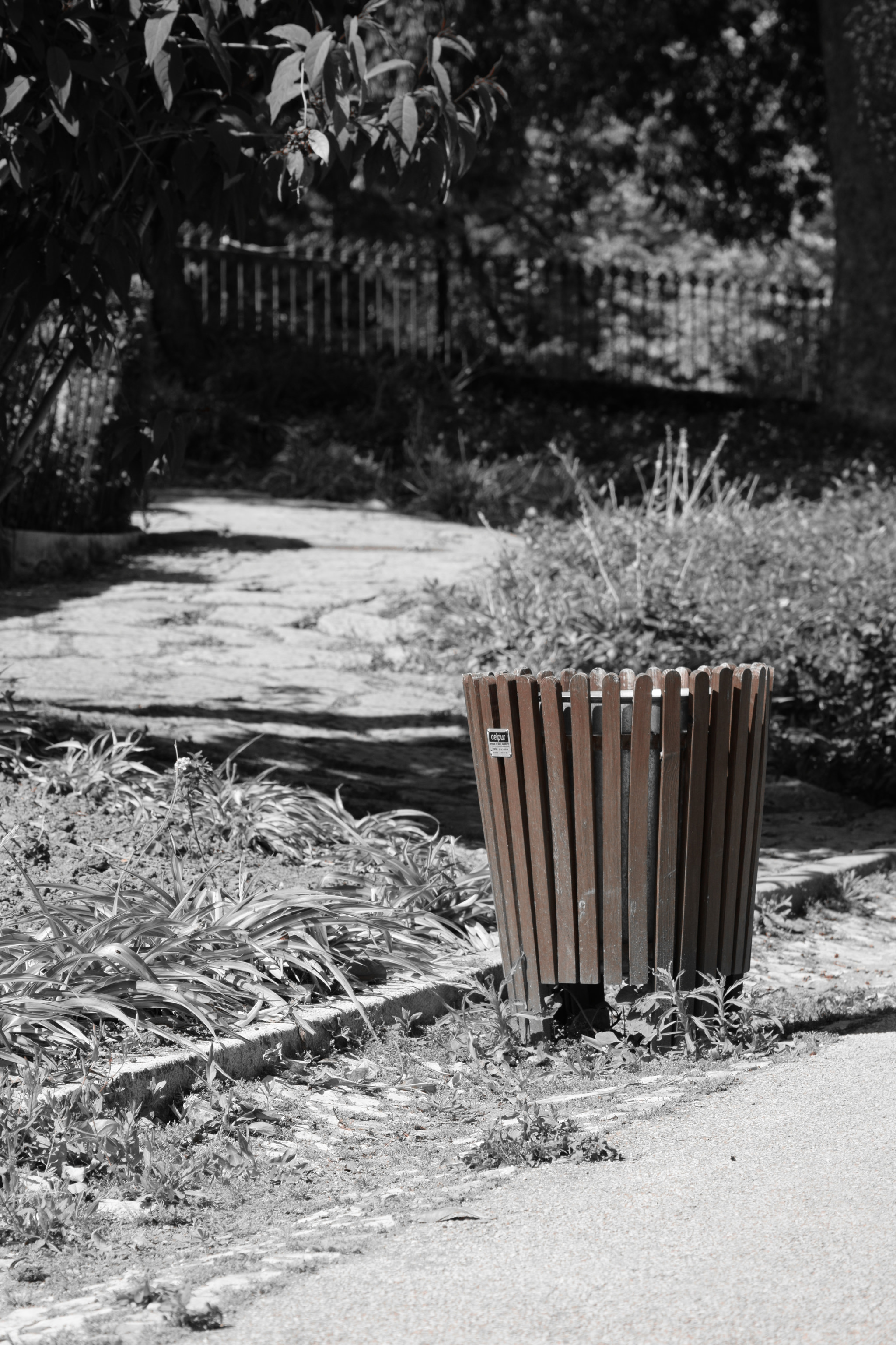Nikon D5300 sample photo. Brown black and white photography