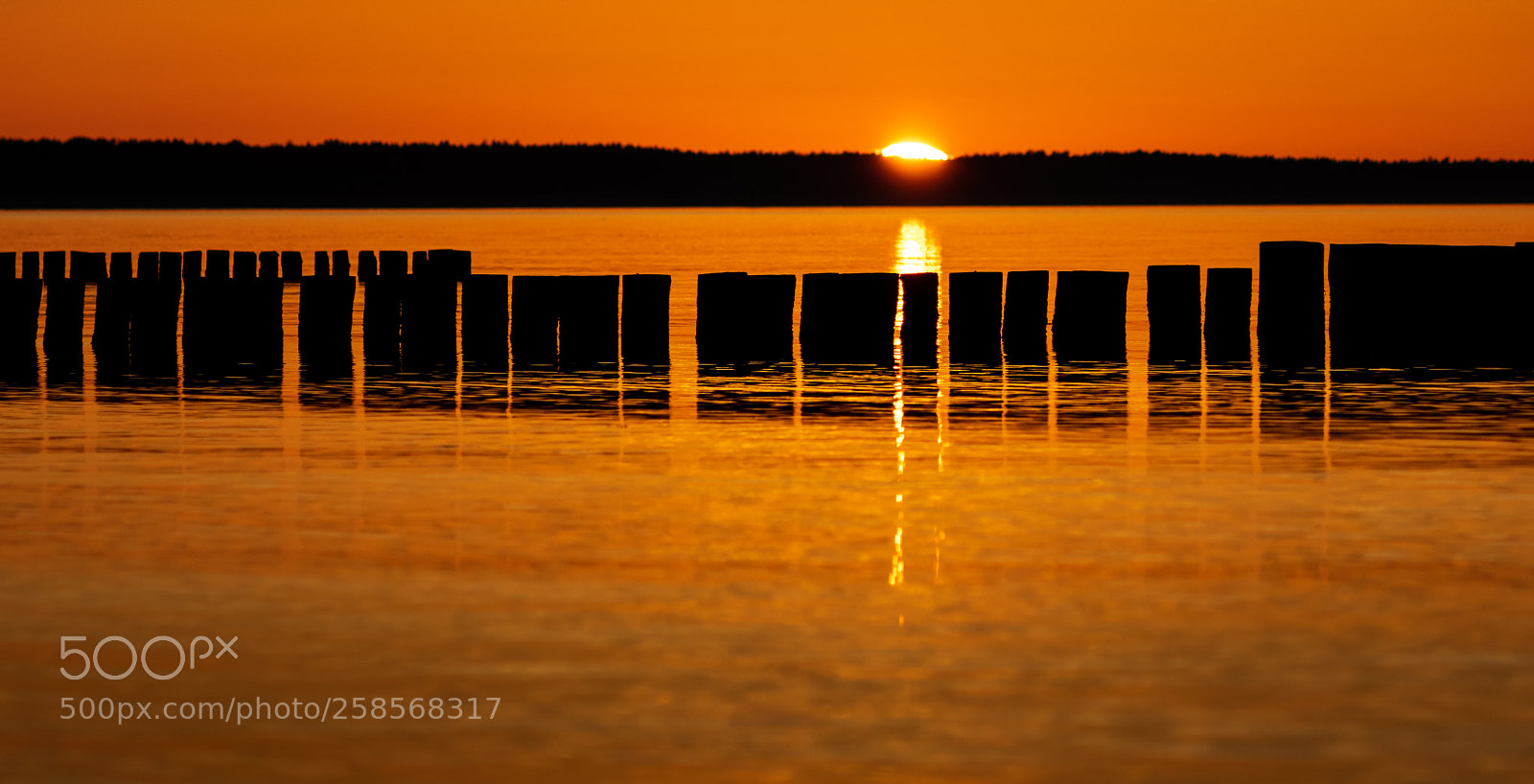 Canon EOS 80D sample photo. Sun goes down in photography