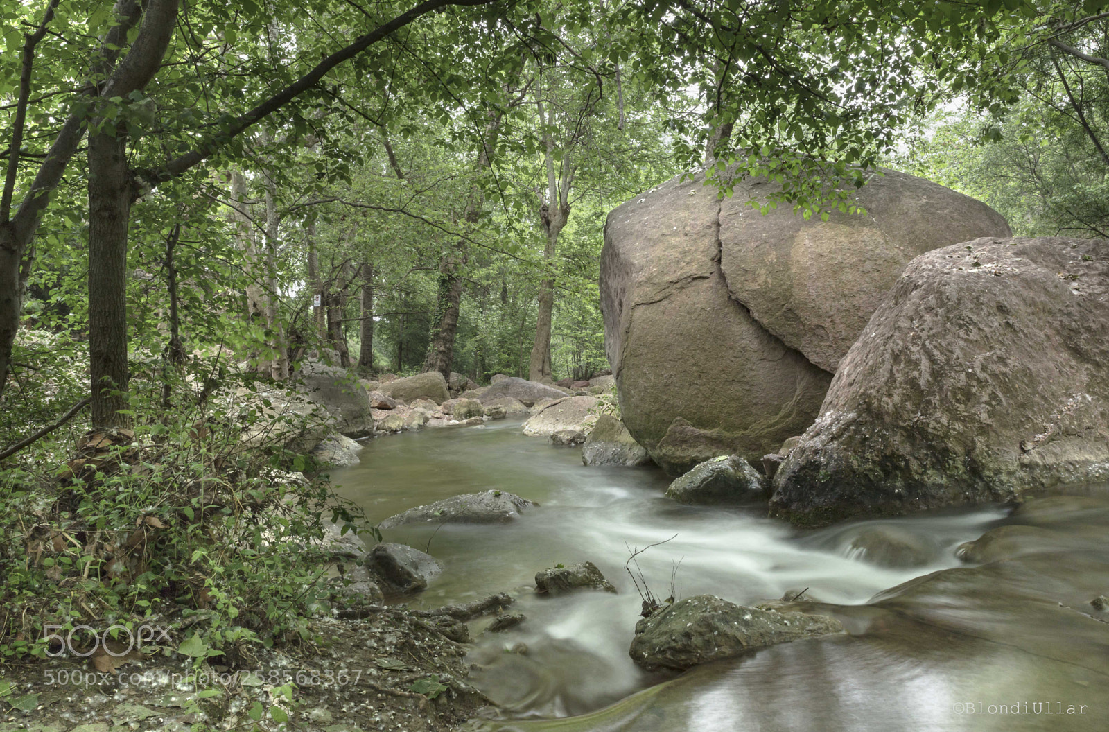 Canon EOS 6D Mark II sample photo. The magic of water... photography