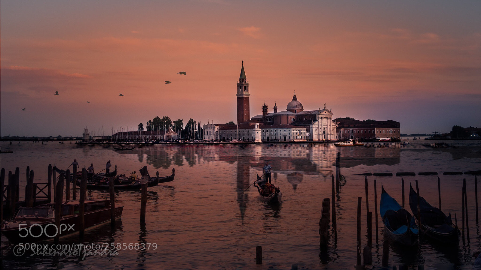 Sony DSC-RX100M5 sample photo. Pinksunset@venezia photography