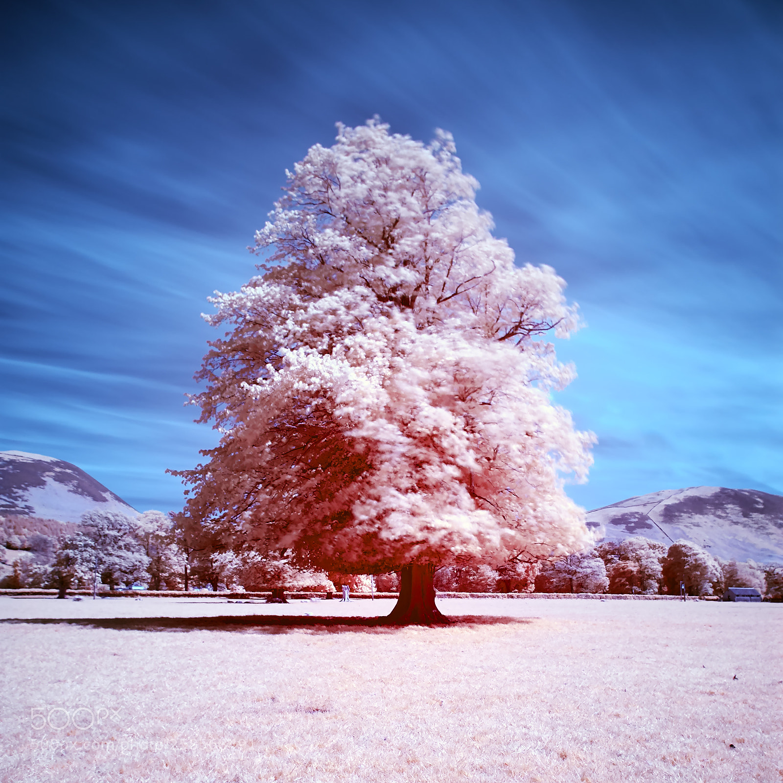 Nikon D200 sample photo. Lorton village infared 720nm photography