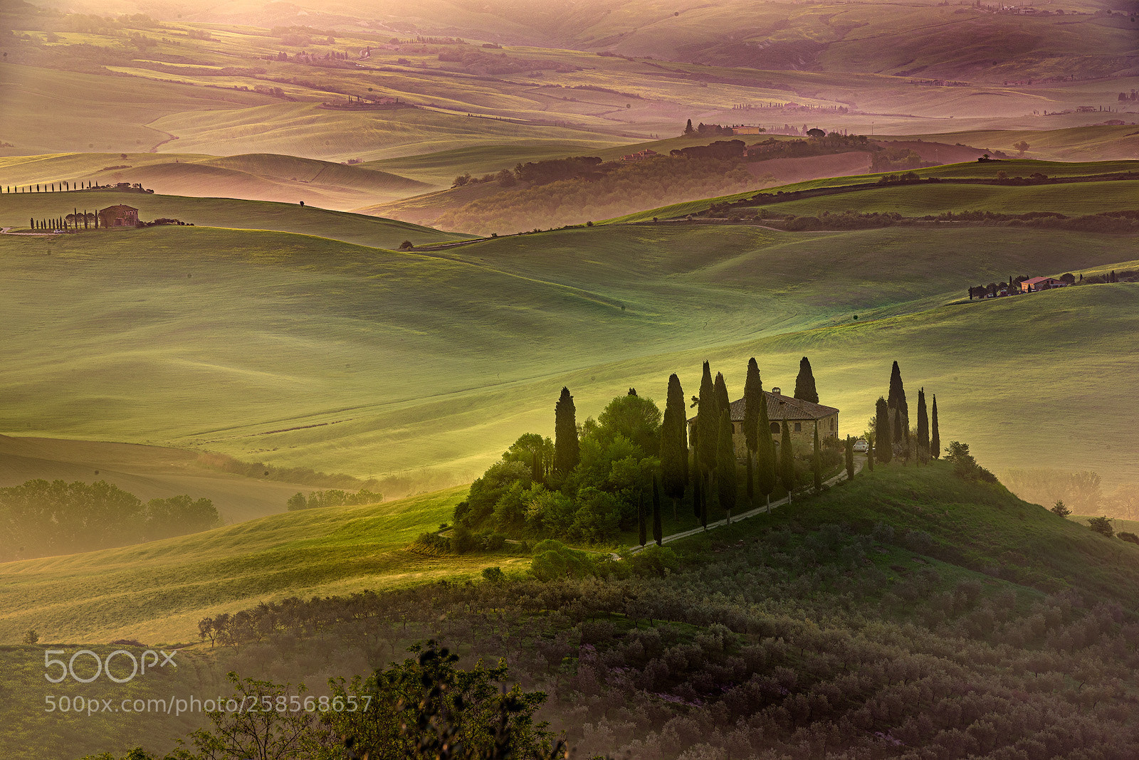 Nikon D810 sample photo. Sunset in tuscany photography