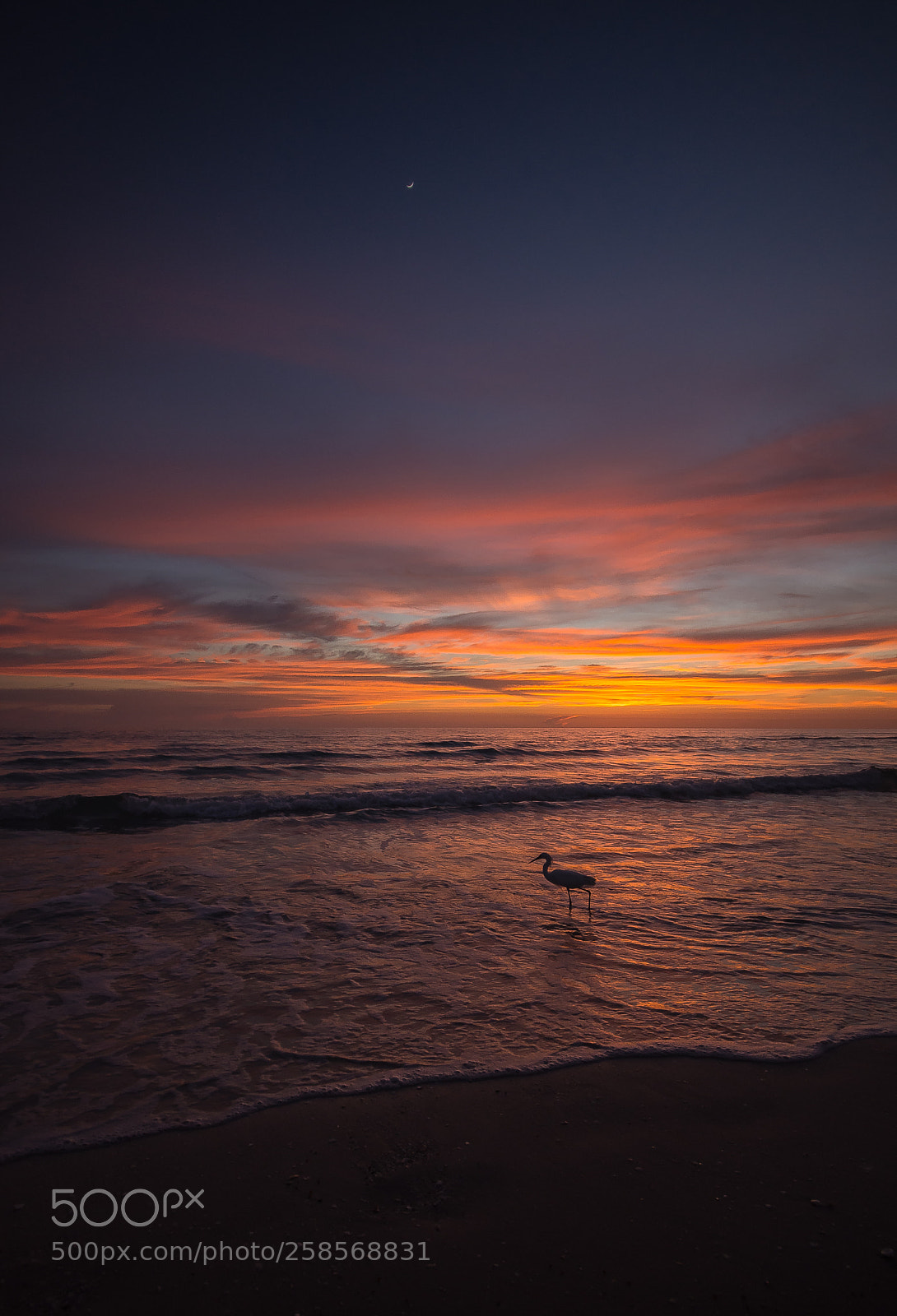 Nikon D7200 sample photo. Sunset fishing photography