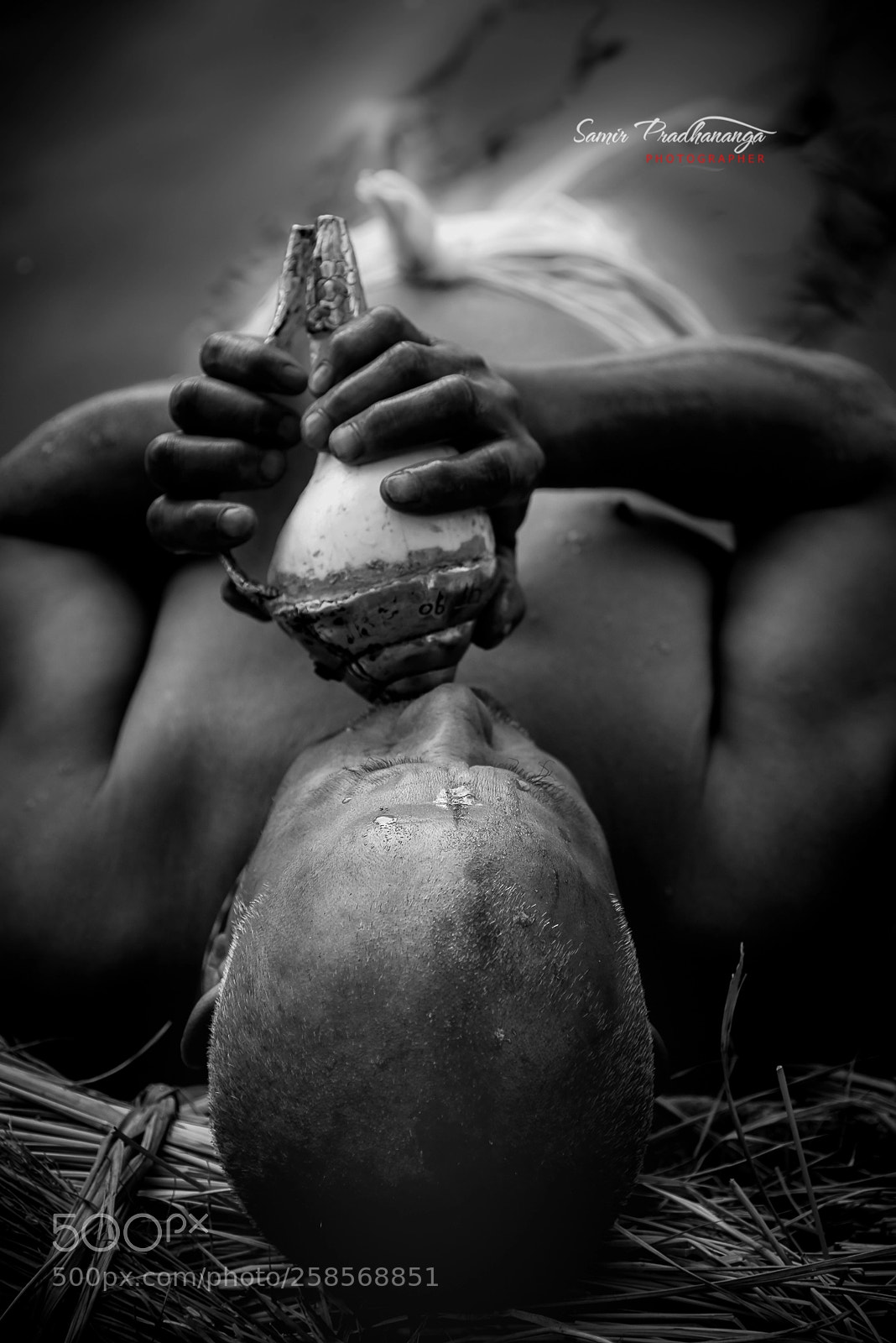 Nikon D750 sample photo. Conch with the sound photography