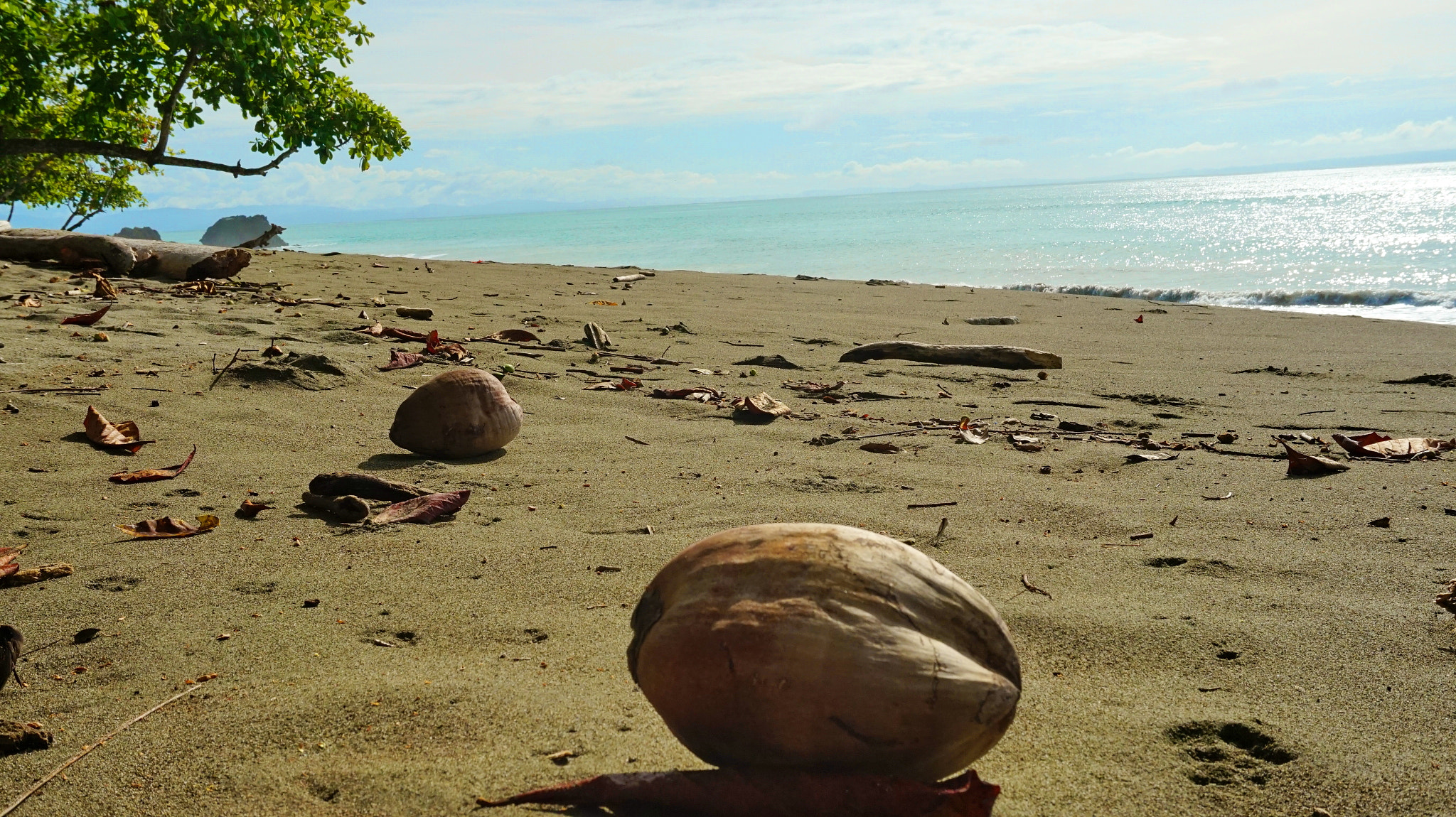 Sony E 18-50mm F4-5.6 sample photo. Still life on the pacific coast photography