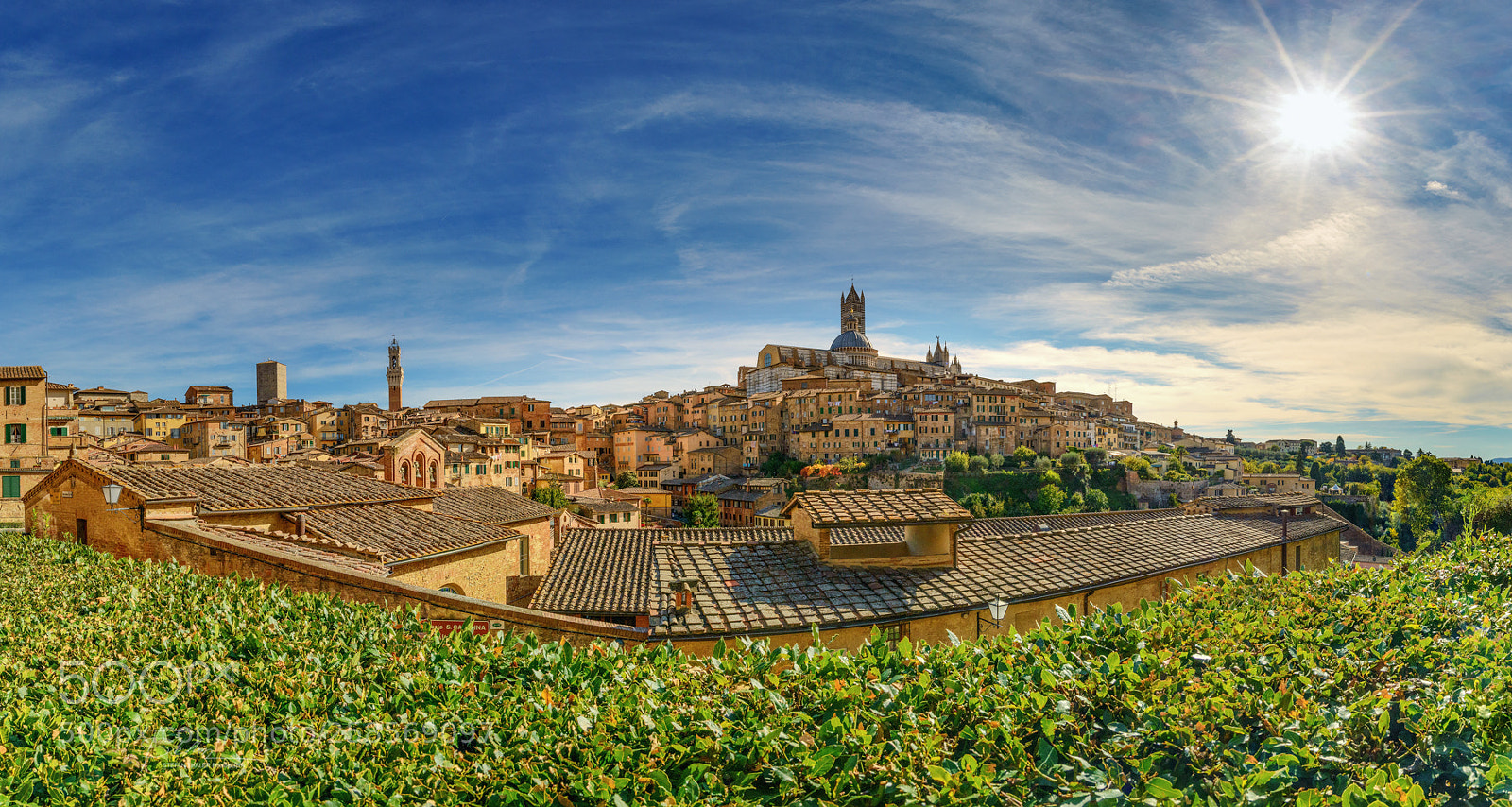 Nikon D800 sample photo. Under the tuscan sun photography