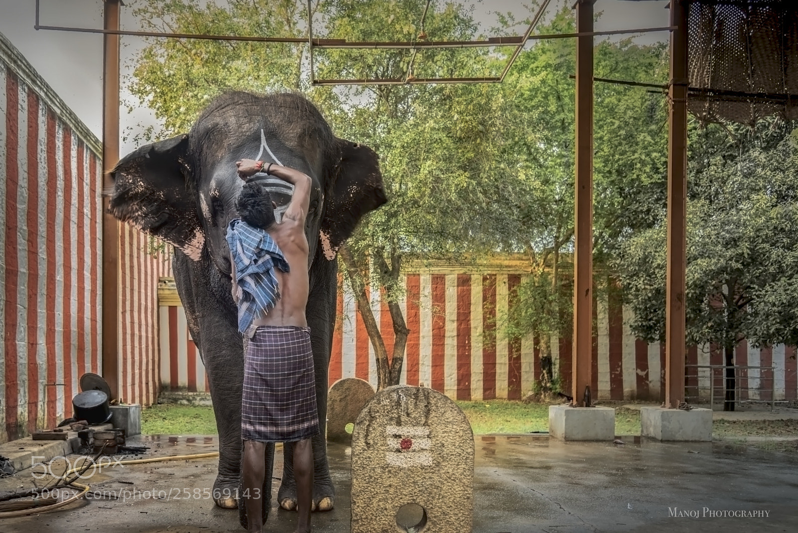 Nikon D750 sample photo. Kovil yanai photography