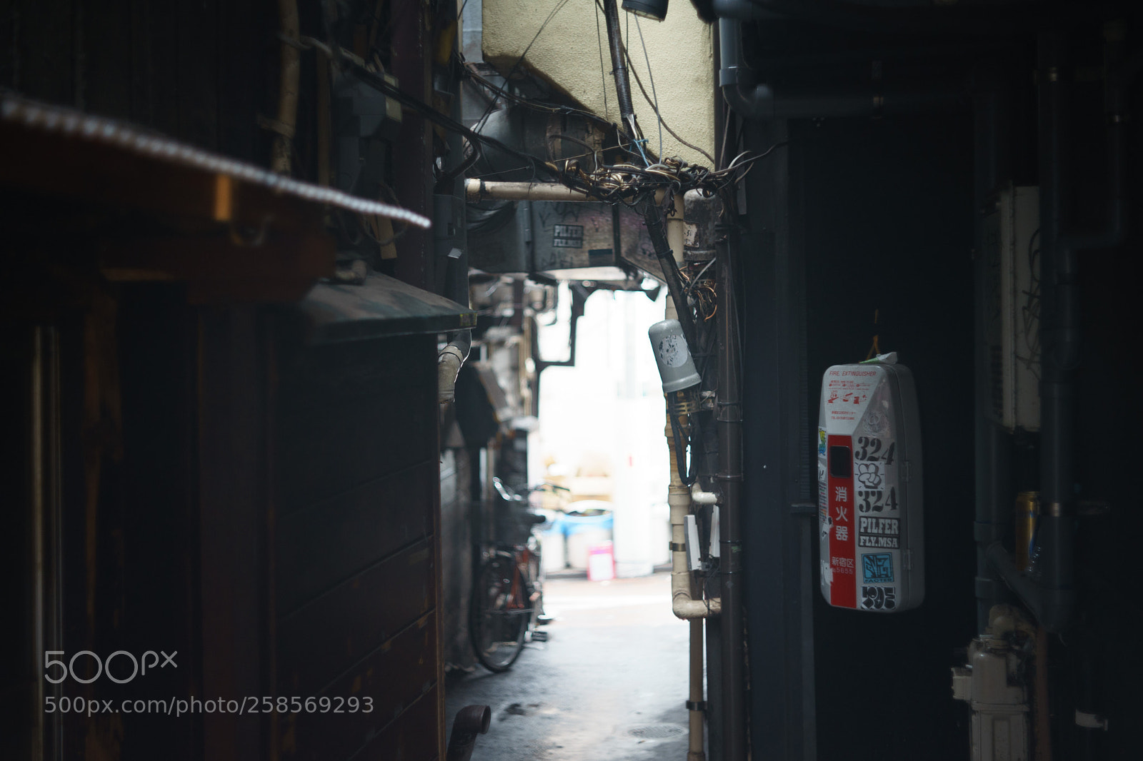Sony a7 II sample photo. Untitled photography