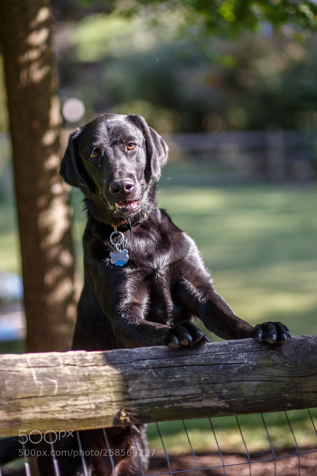 Canon EOS 6D sample photo. Good neighbor photography