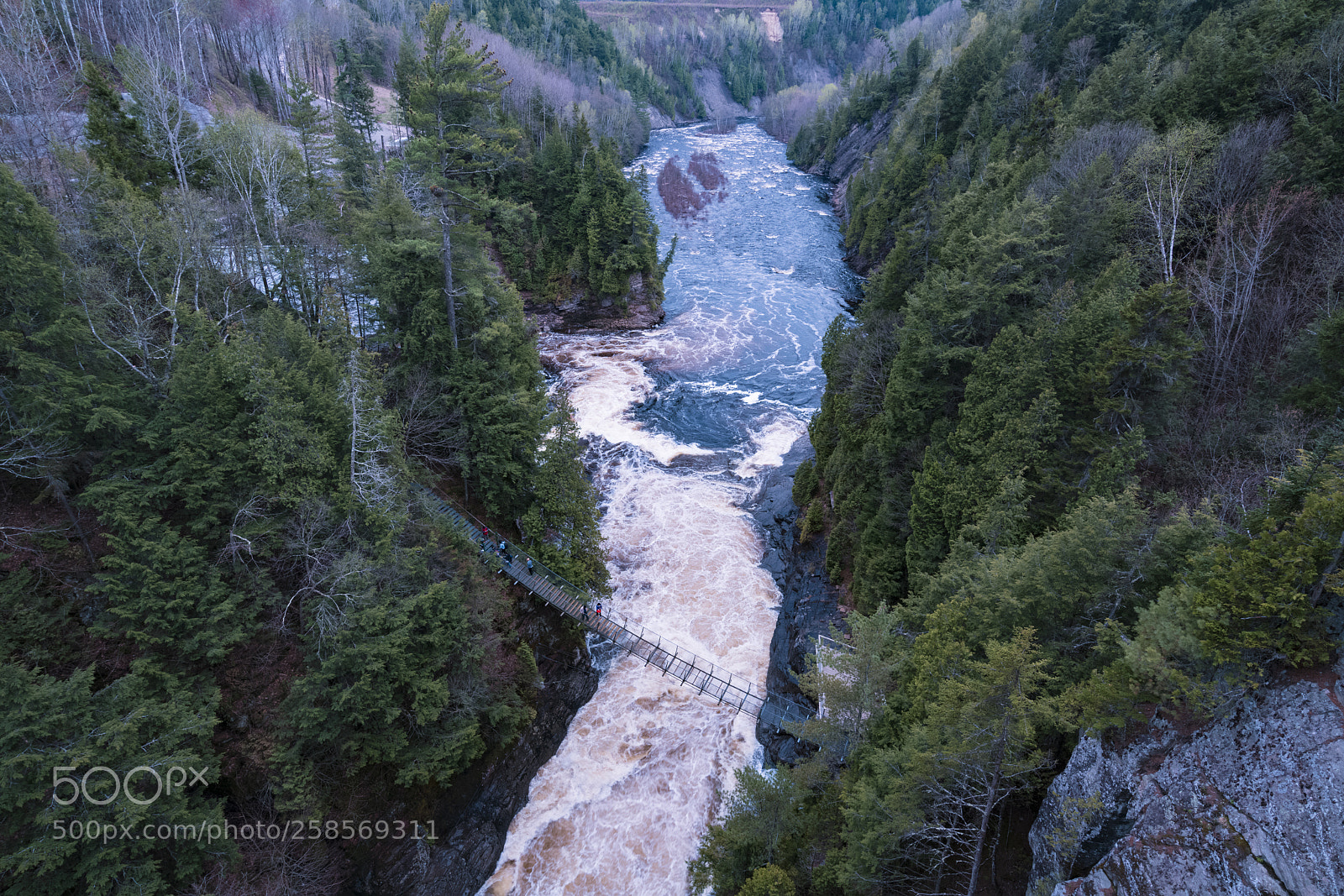 Sony a7R II sample photo. Canyon in spring photography