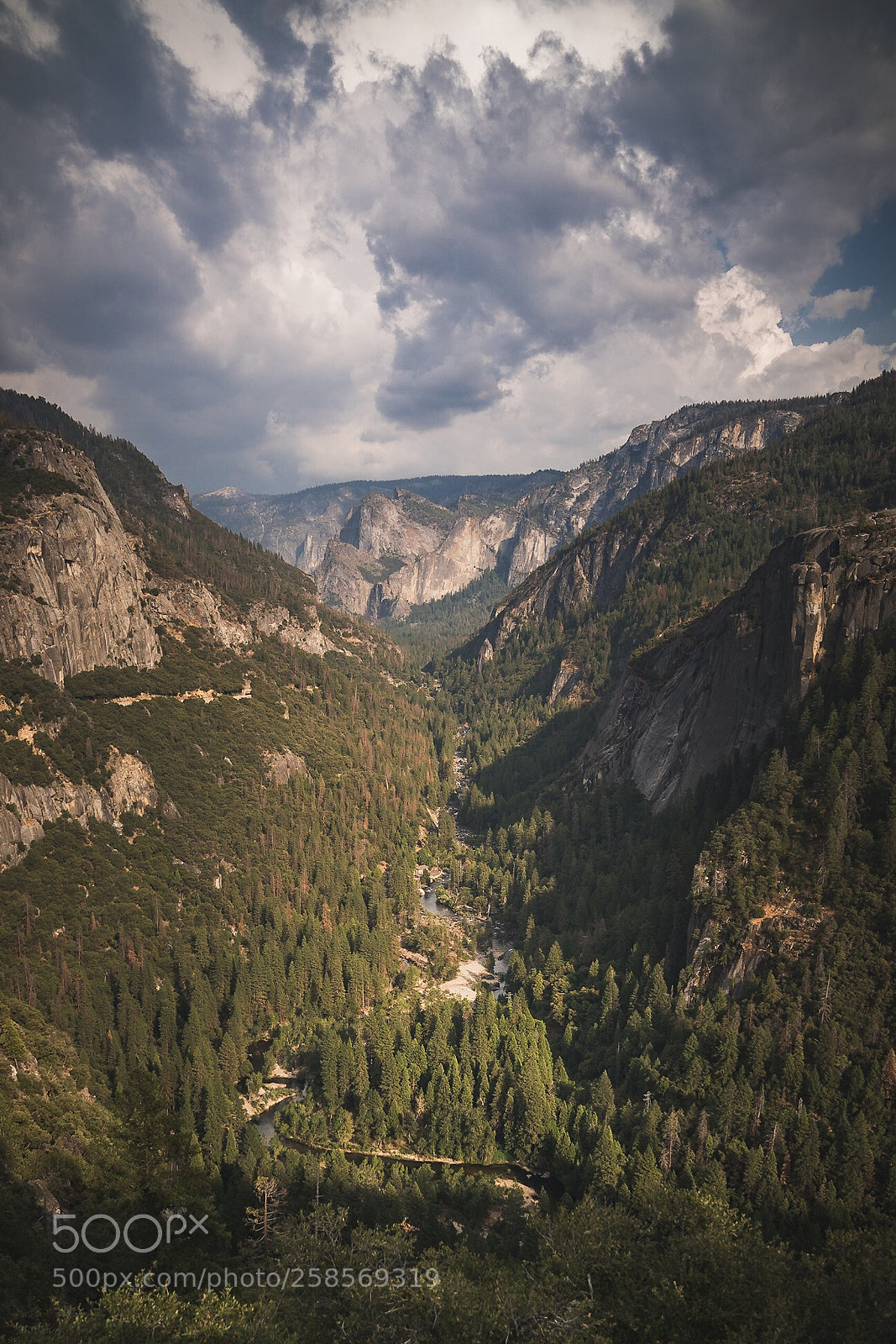 Sony a7R II sample photo. Yosemite view photography