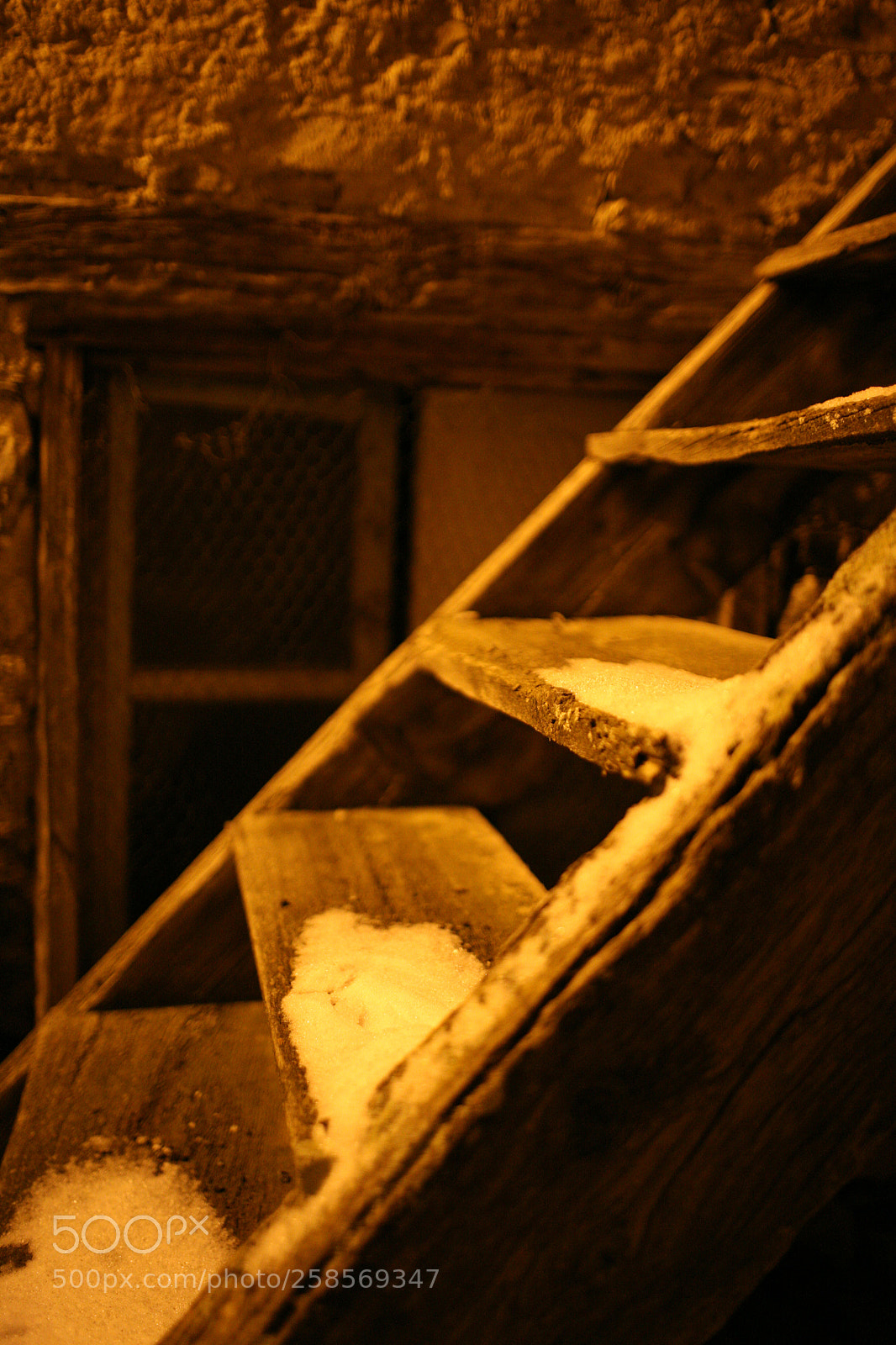 Canon EOS 5D sample photo. Img photography