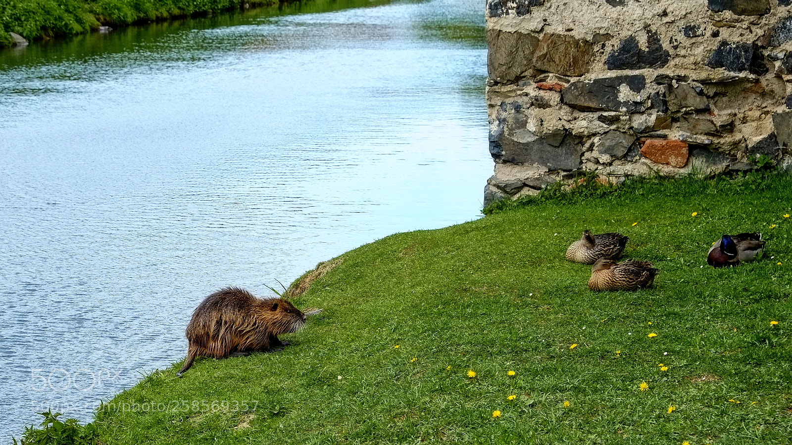 Fujifilm X-E1 sample photo. Hello girls photography