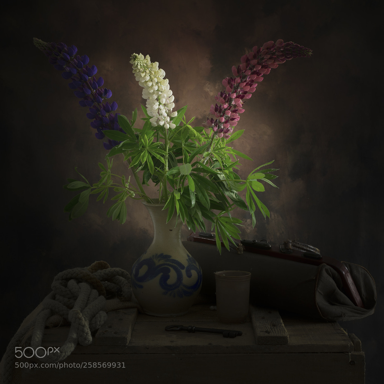 Nikon D600 sample photo. Lupins photography