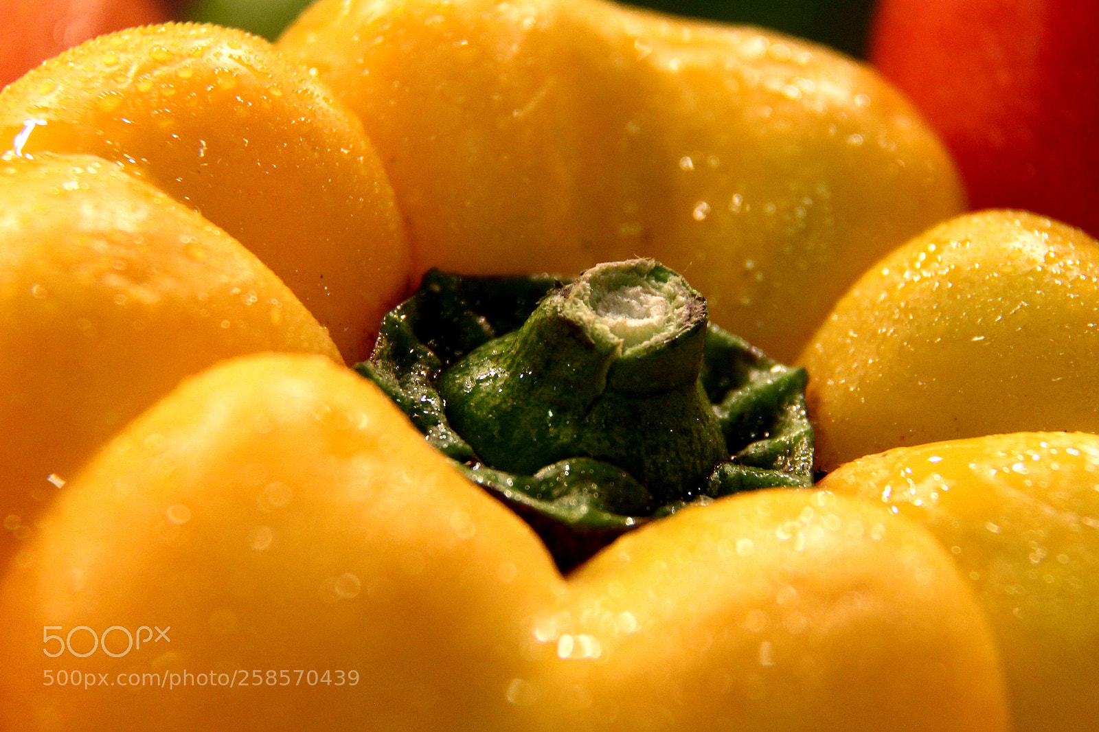 Canon EOS 60D sample photo. Yellow capsicam photography