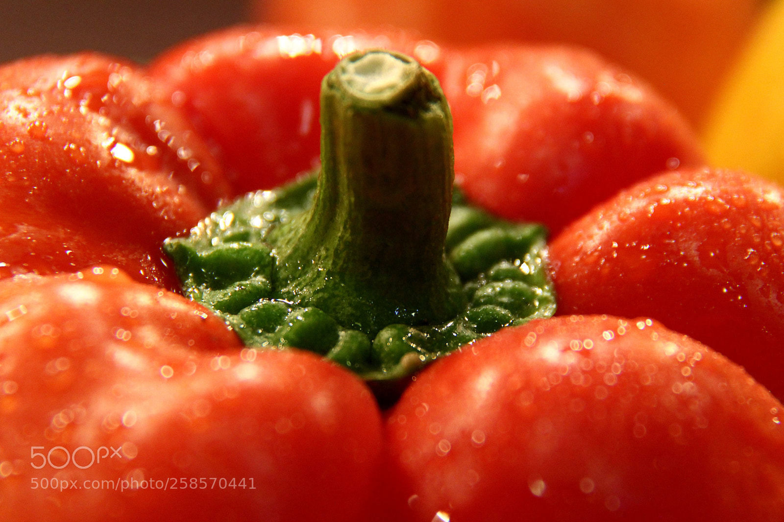 Canon EOS 60D sample photo. Red capsicam photography