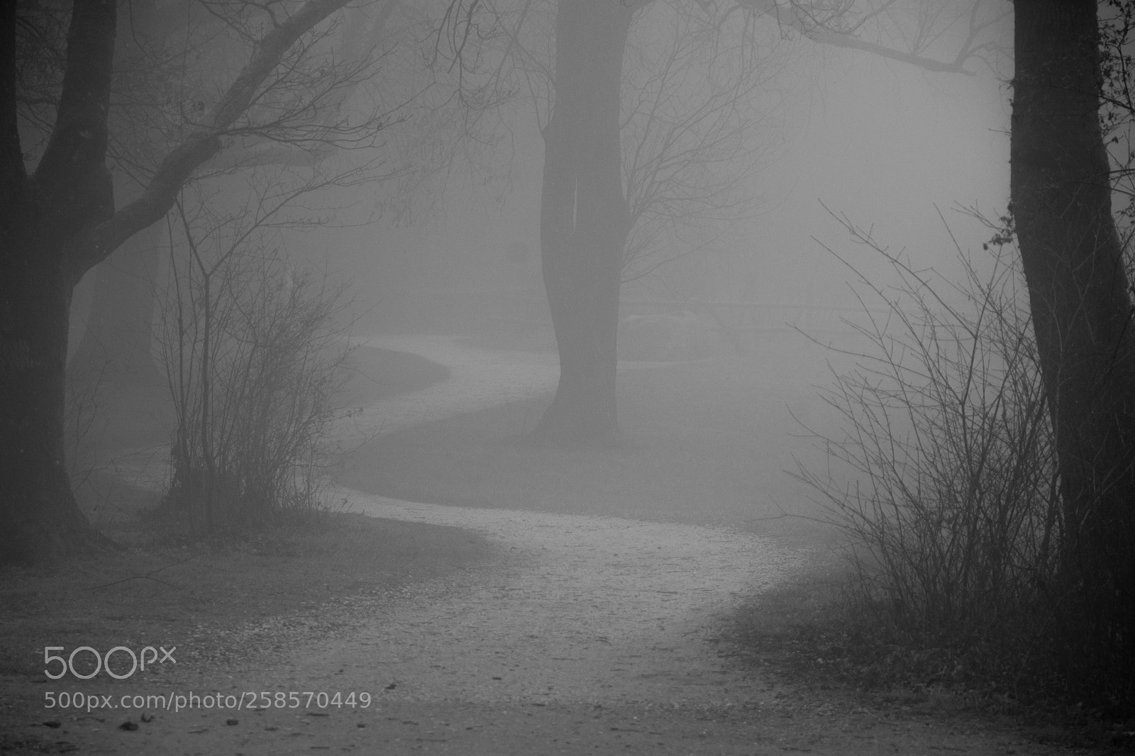 Nikon D7100 sample photo. Winding road iii photography