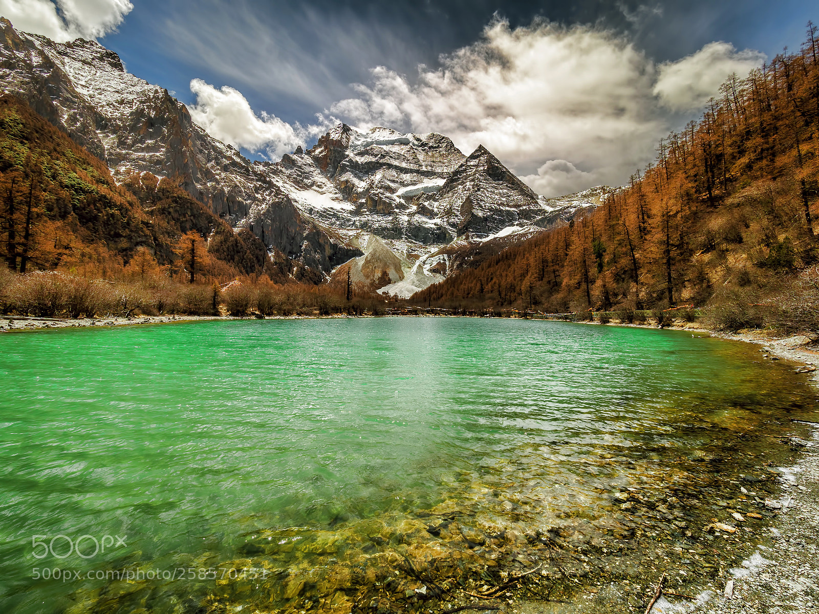Olympus OM-D E-M1 Mark II sample photo. Yading nature reserve of photography