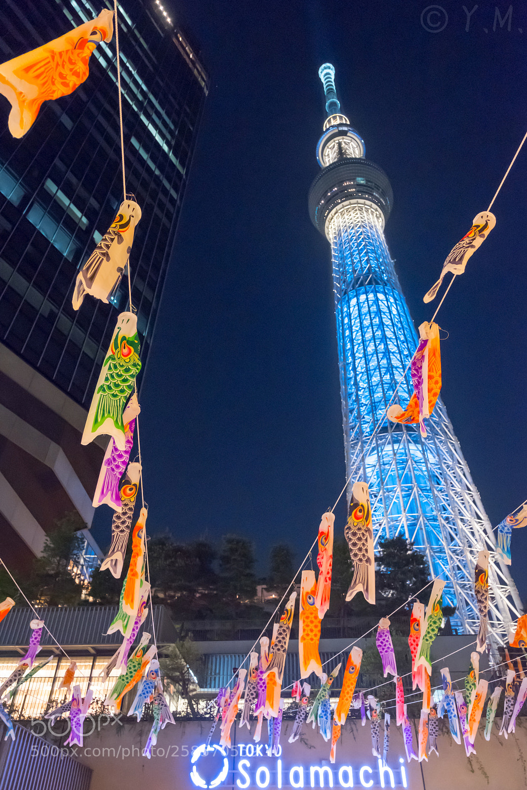 Fujifilm X-T2 sample photo. 239_dscf0314-1.jpg photography