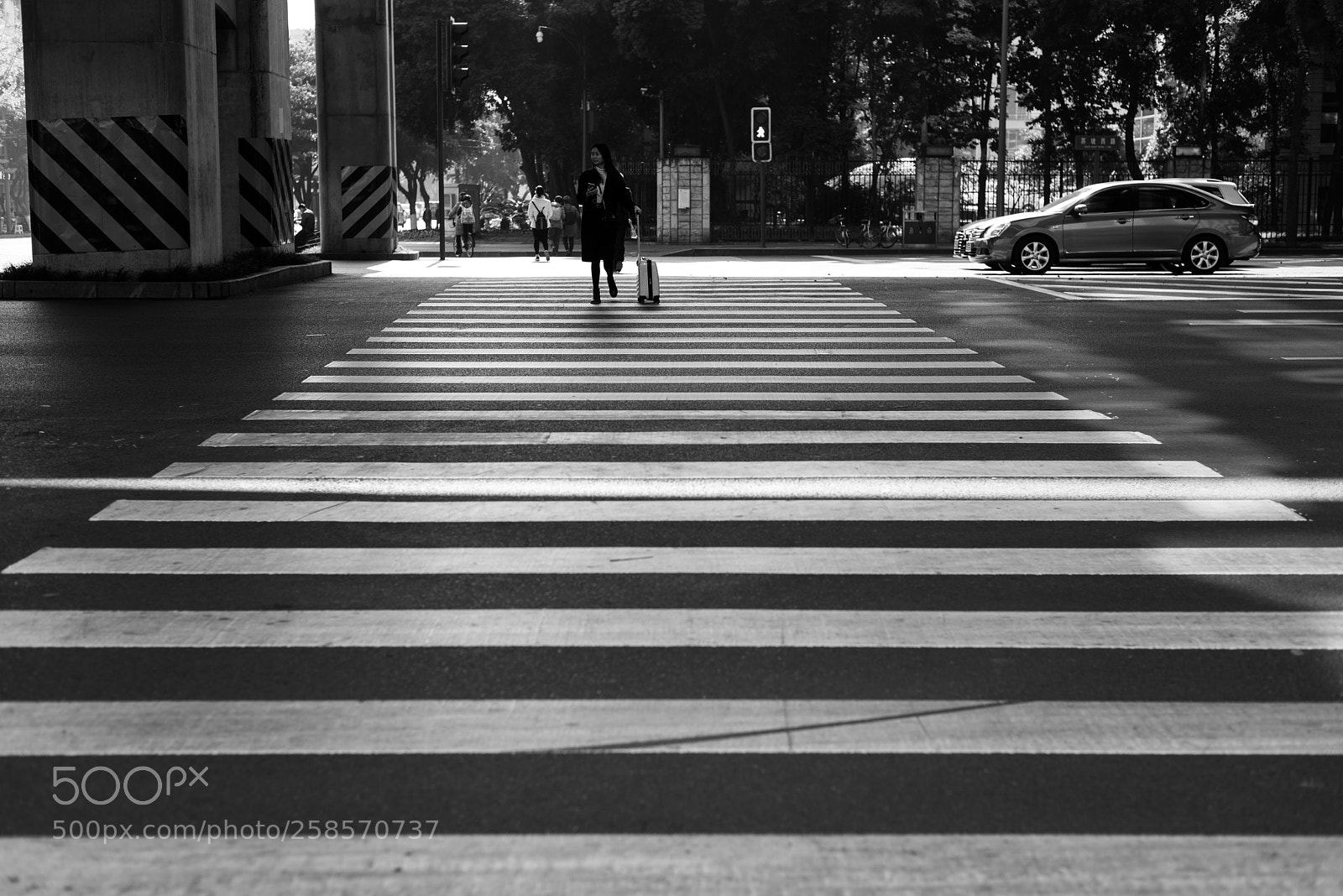 Nikon D750 sample photo. Zebra crossing photography