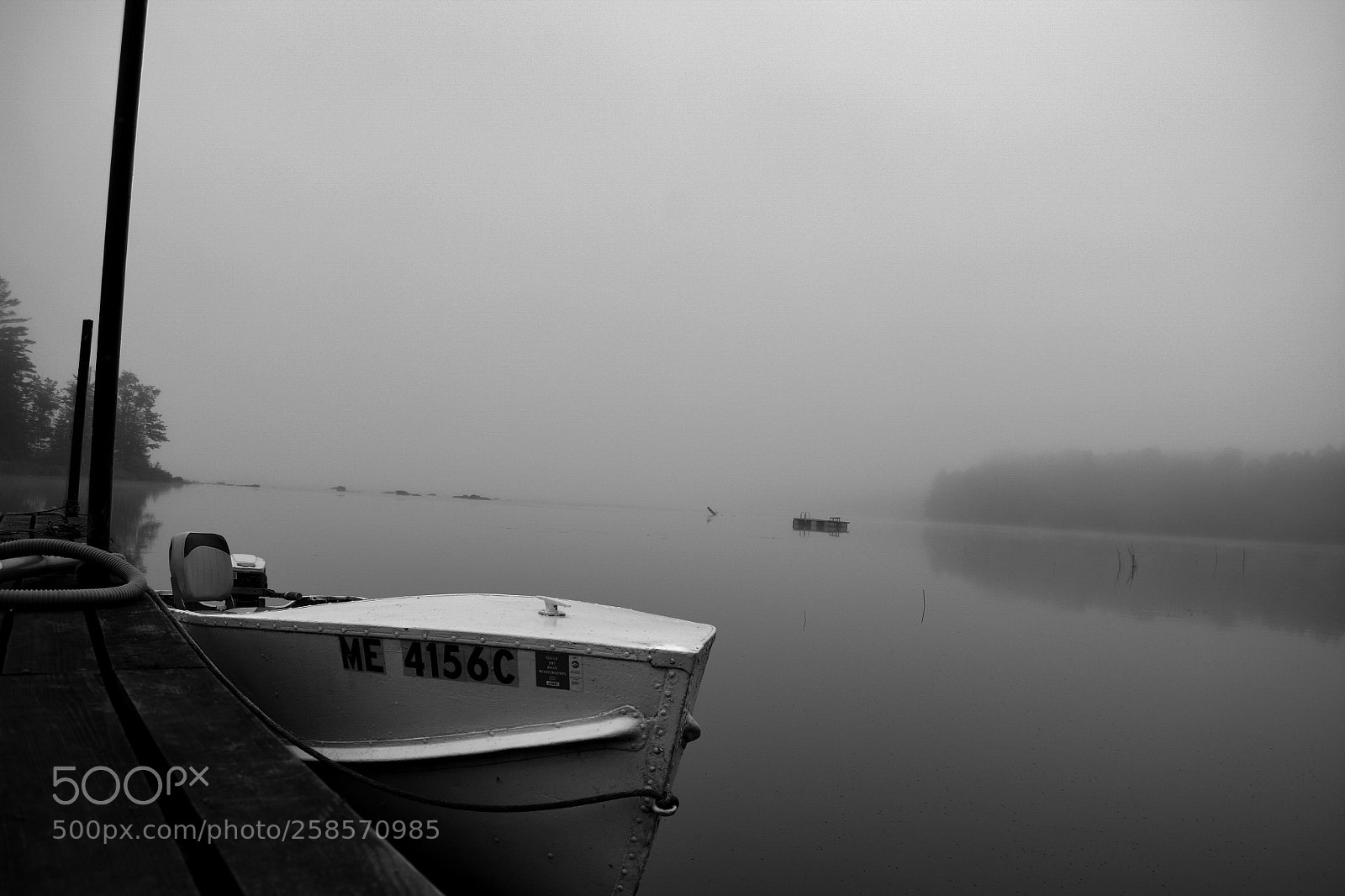 Nikon D3400 sample photo. Early morning mist photography