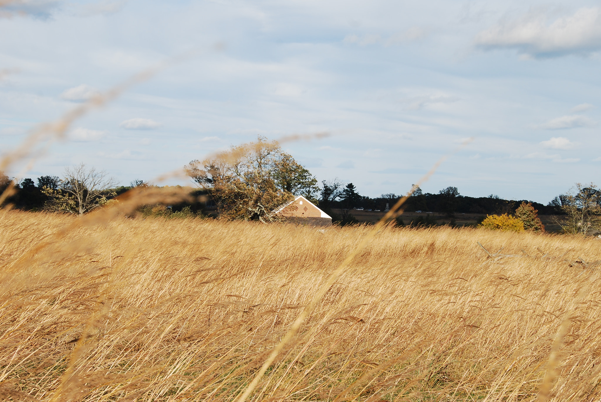 Nikon D80 sample photo. Trostle farm photography