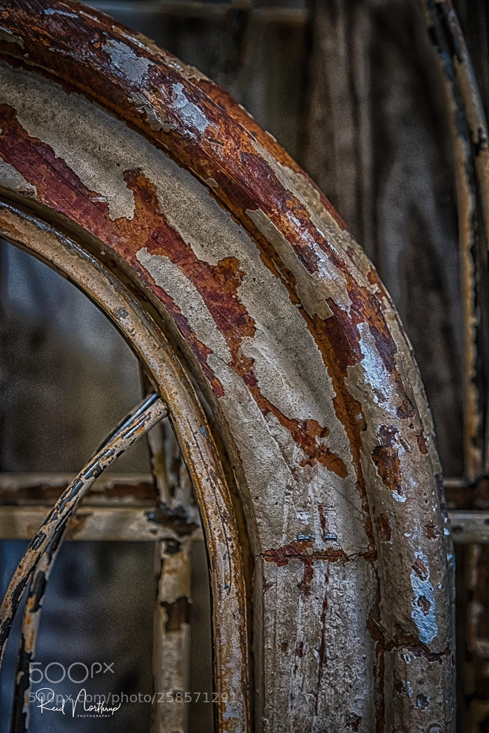 Nikon D850 sample photo. Weathered photography