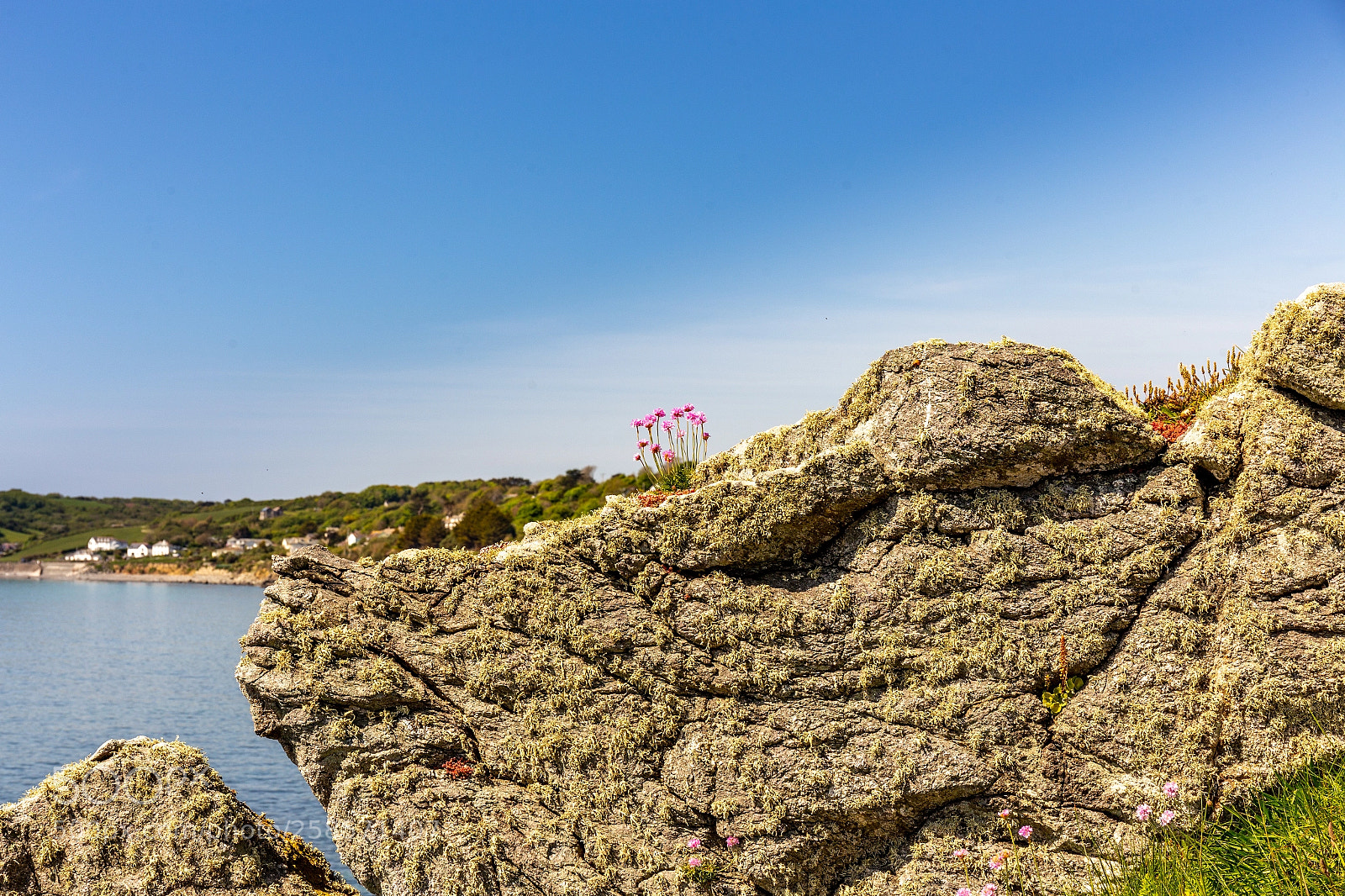 Canon EOS 6D sample photo. Lowland point photography