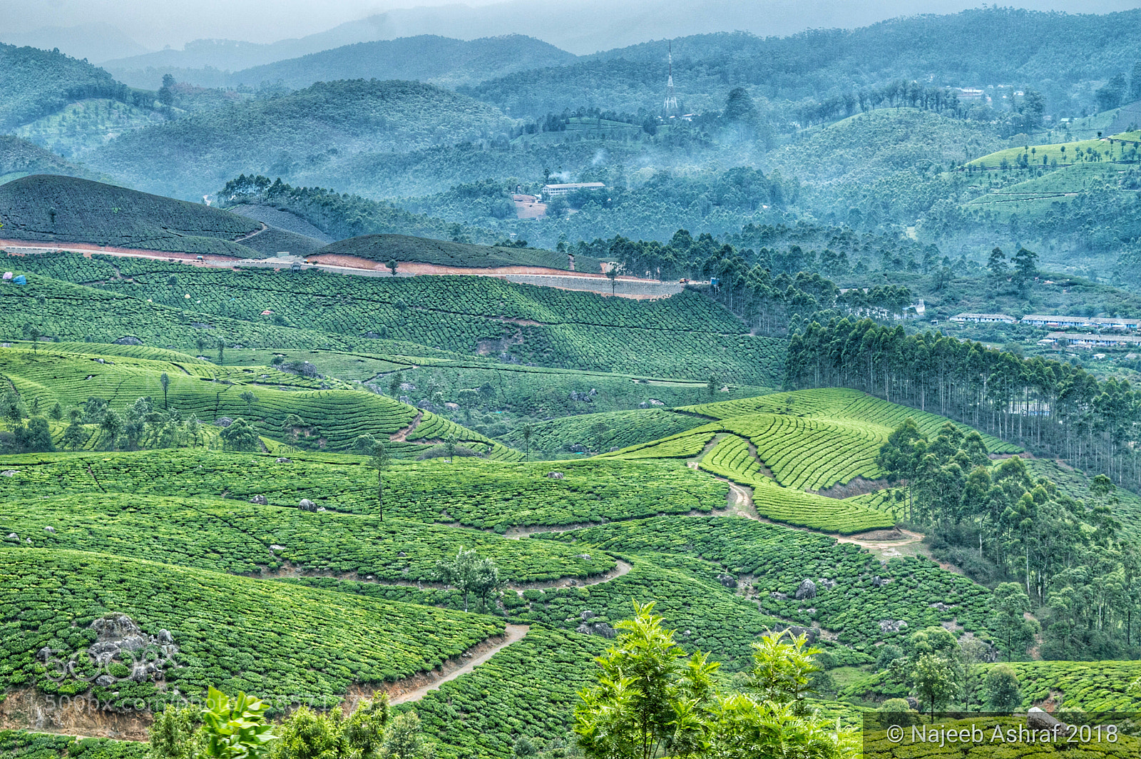 Nikon D3200 sample photo. Munnar landscape photography