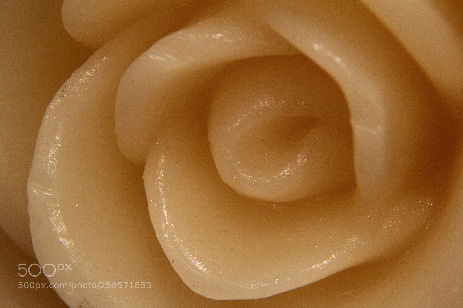 Canon EF-S 18-135mm F3.5-5.6 IS sample photo. Wax made rose photography