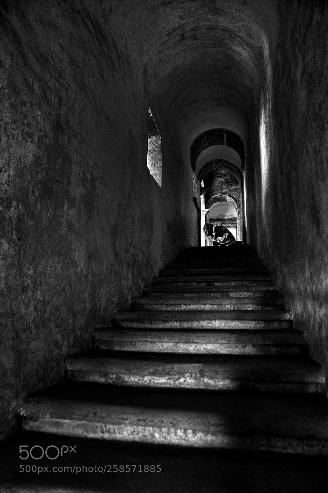 Pentax K-3 II sample photo. Untitled photography