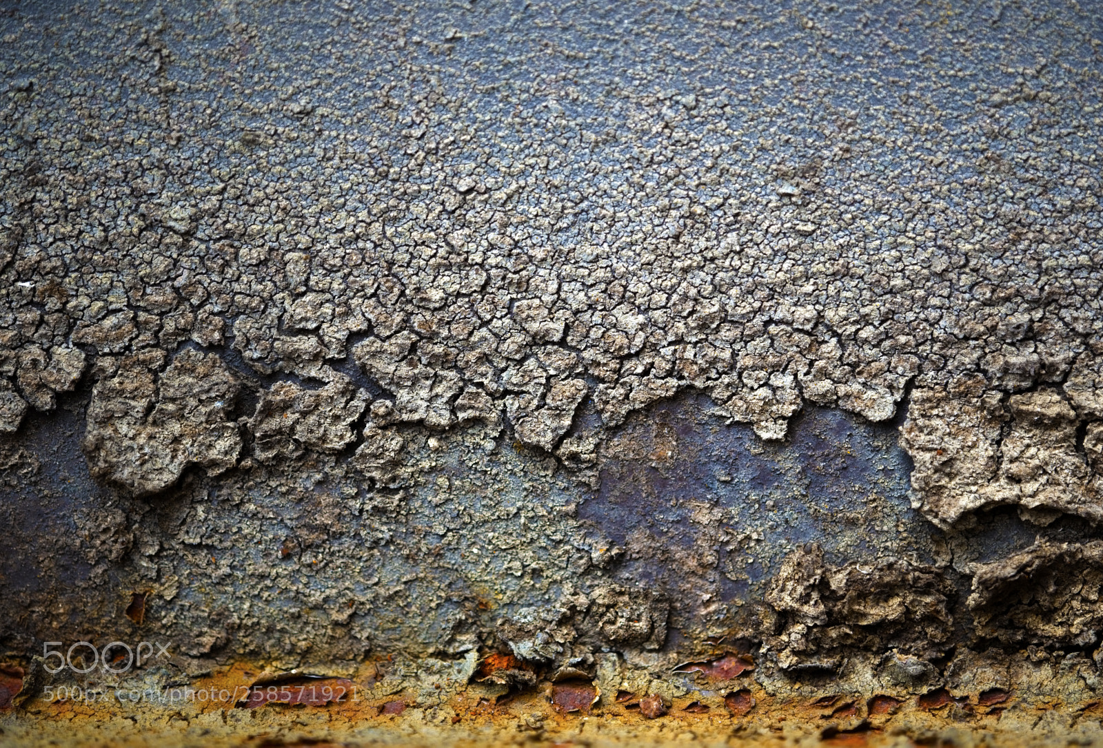 Nikon D750 sample photo. Entropy photography